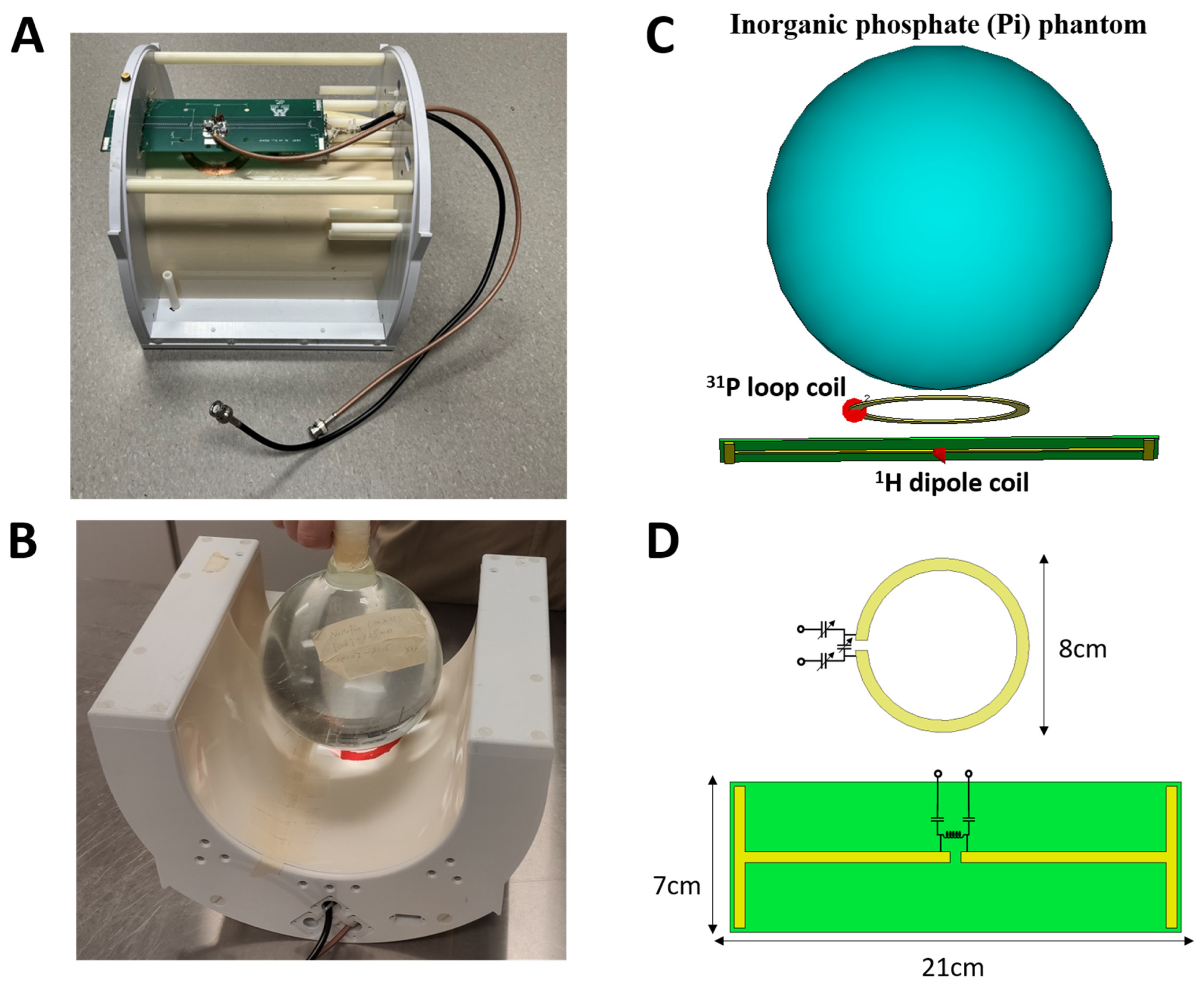 Sensors 24 05793 g001