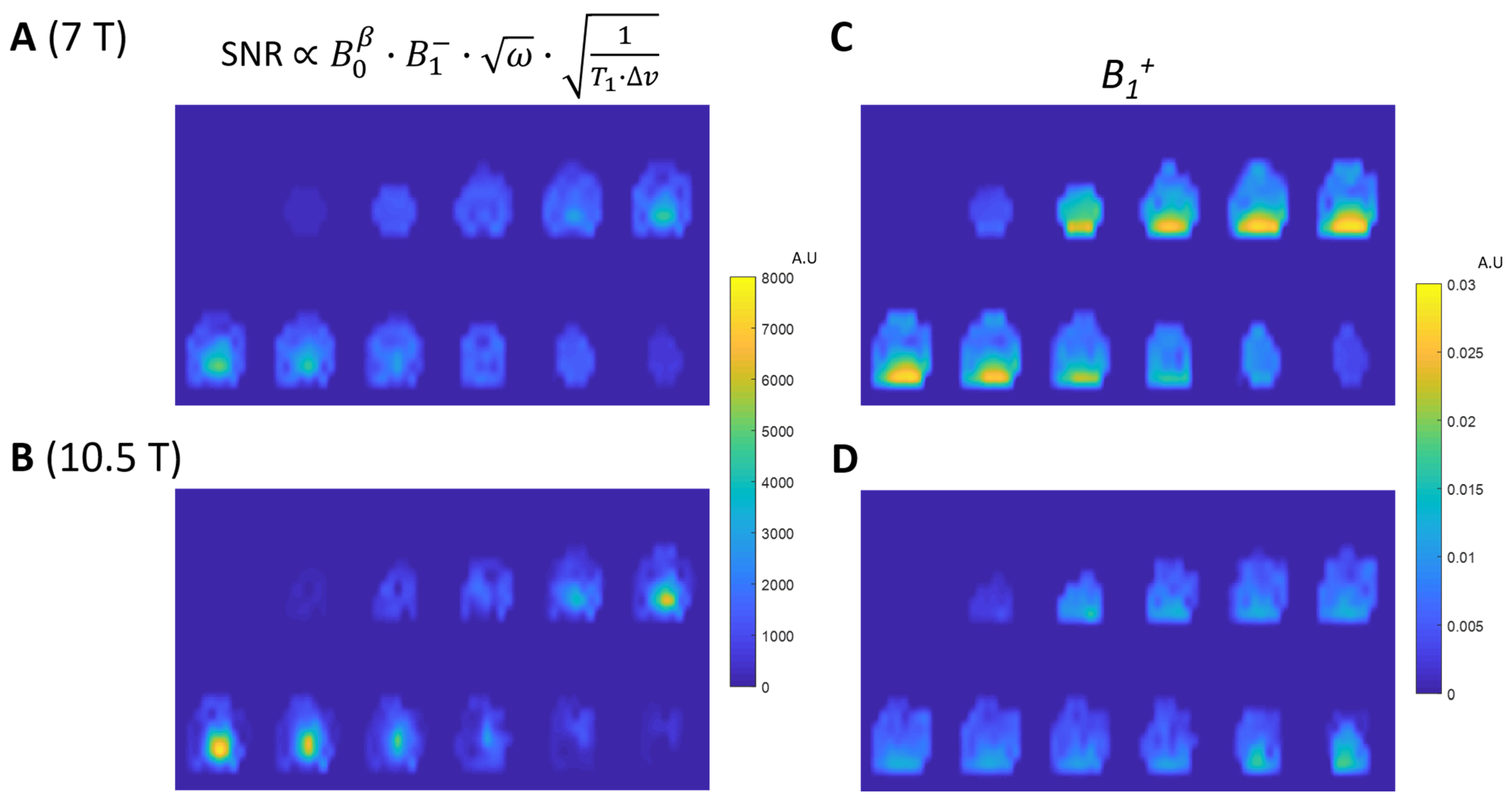 Sensors 24 05793 g005