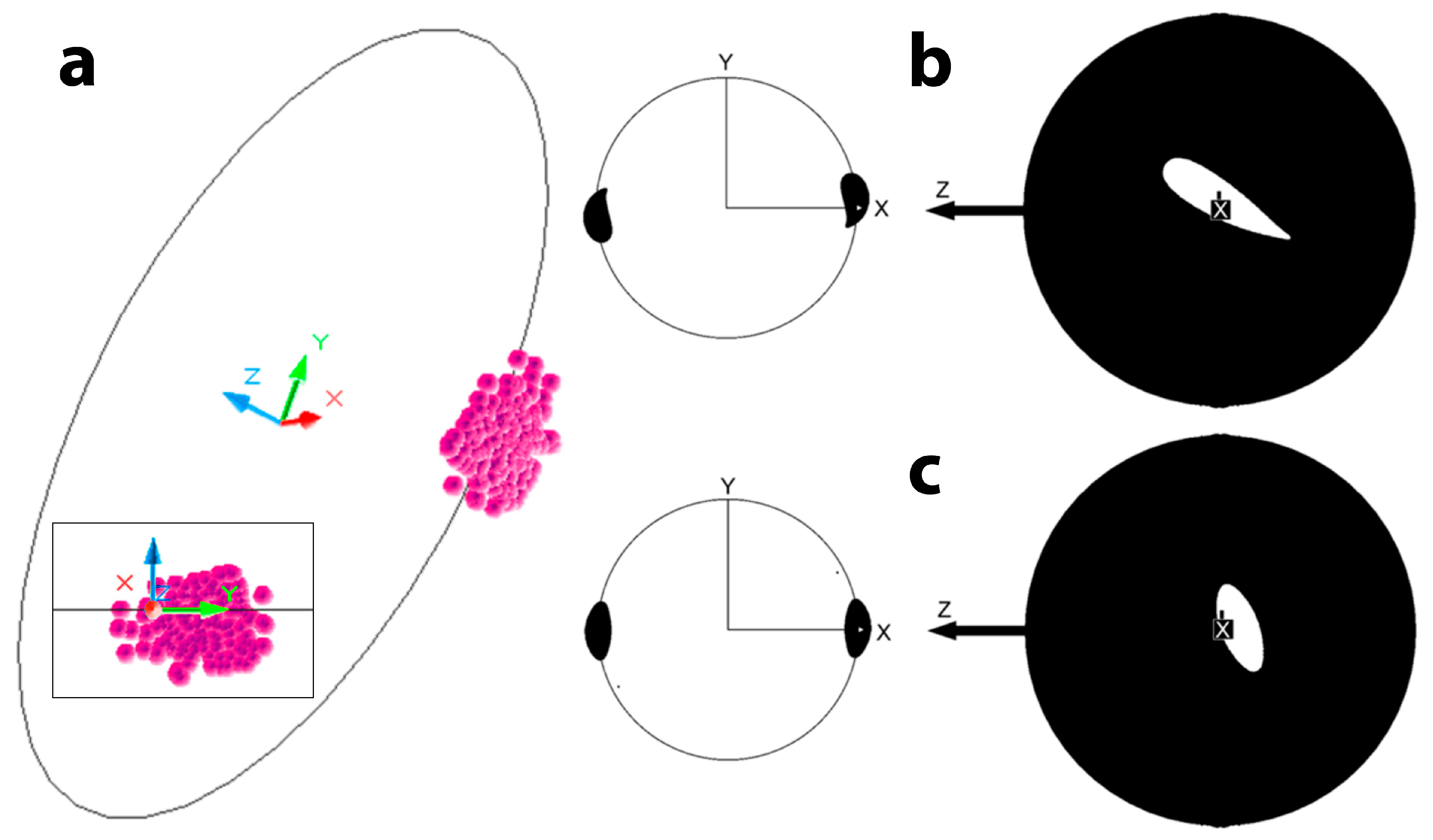 Sensors 24 05810 g005