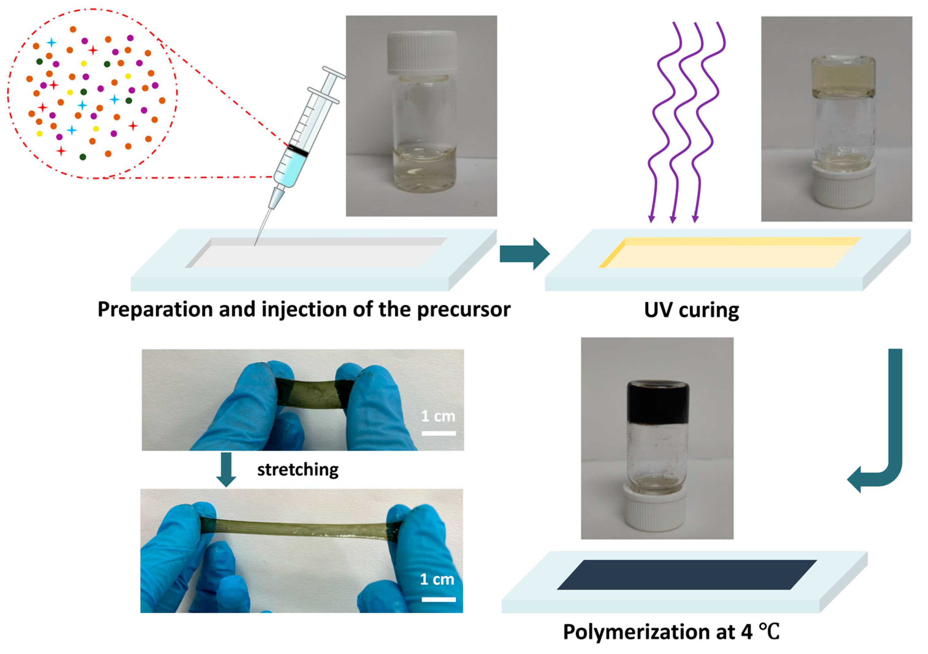 Sensors 24 05814 g001
