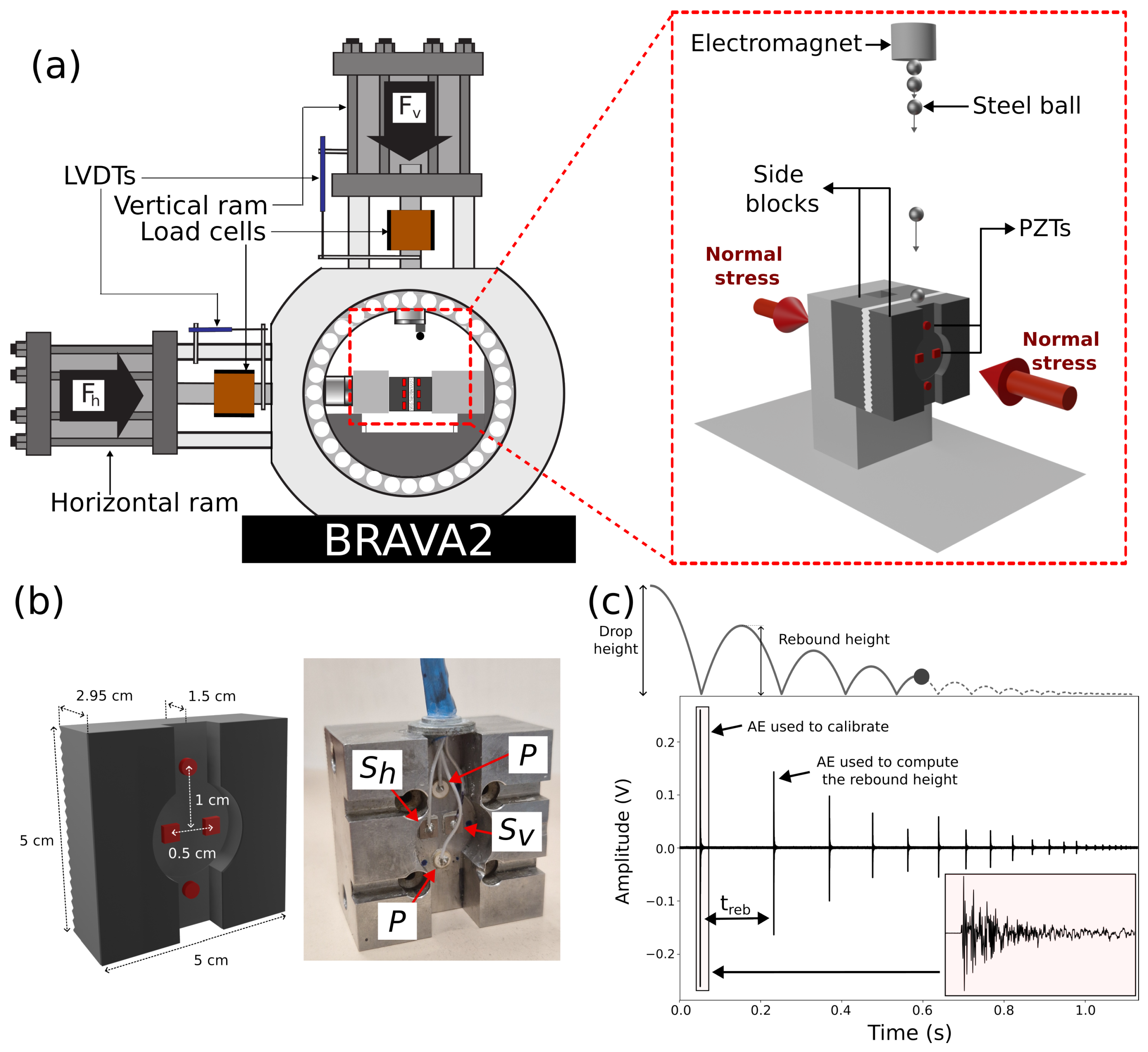 Sensors 24 05824 g001