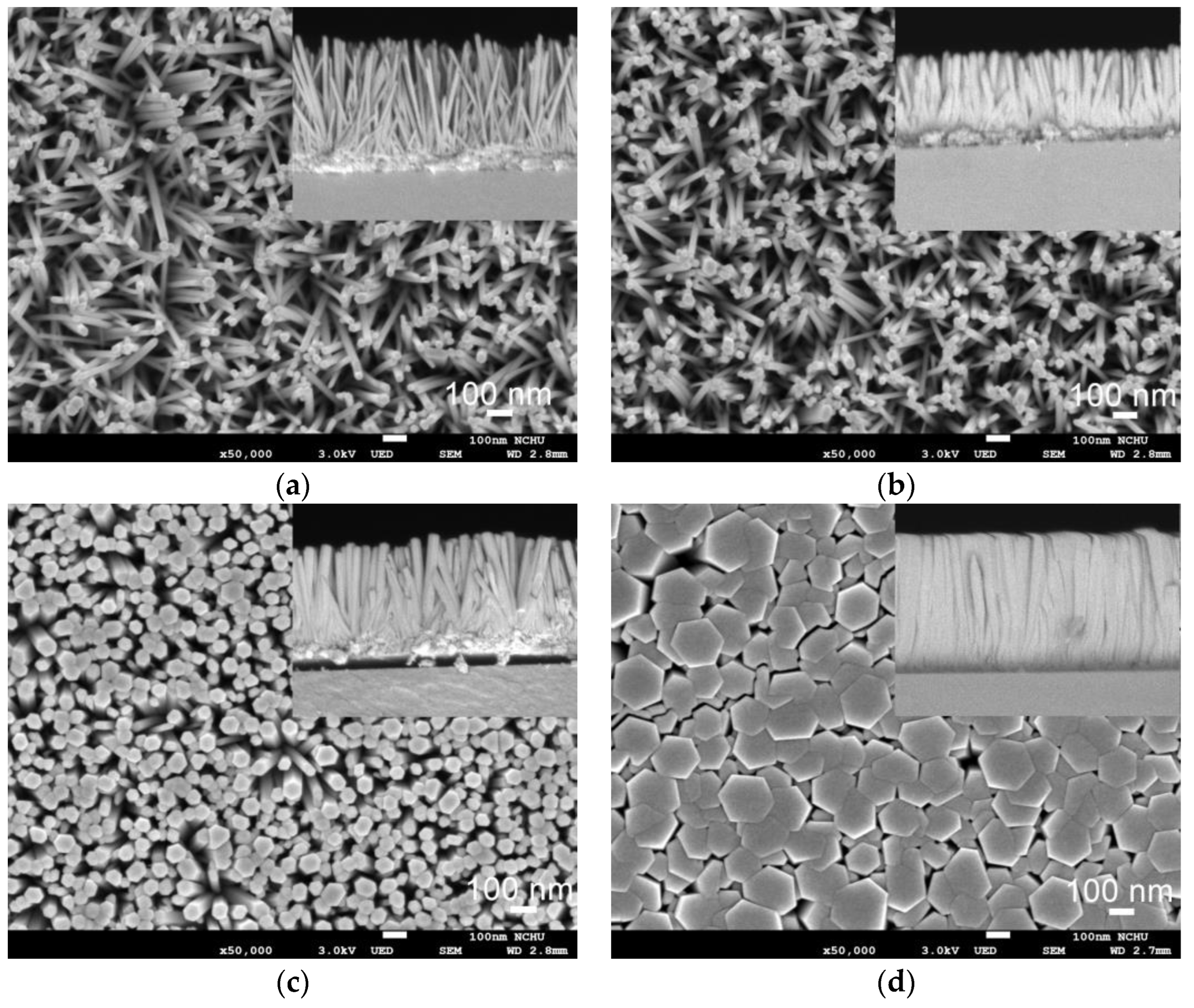 Sensors 24 05852 g004