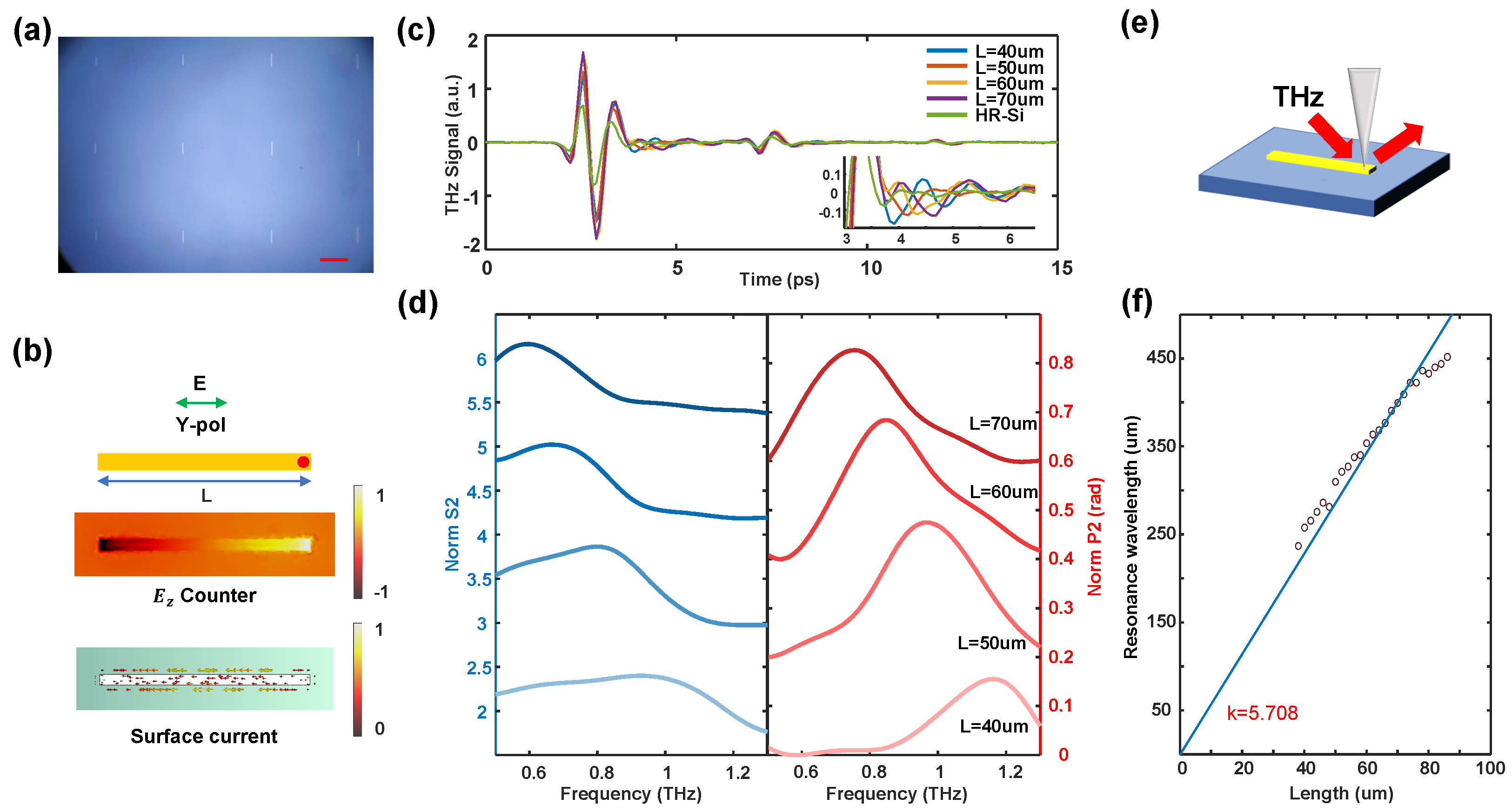 Sensors 24 05866 g004