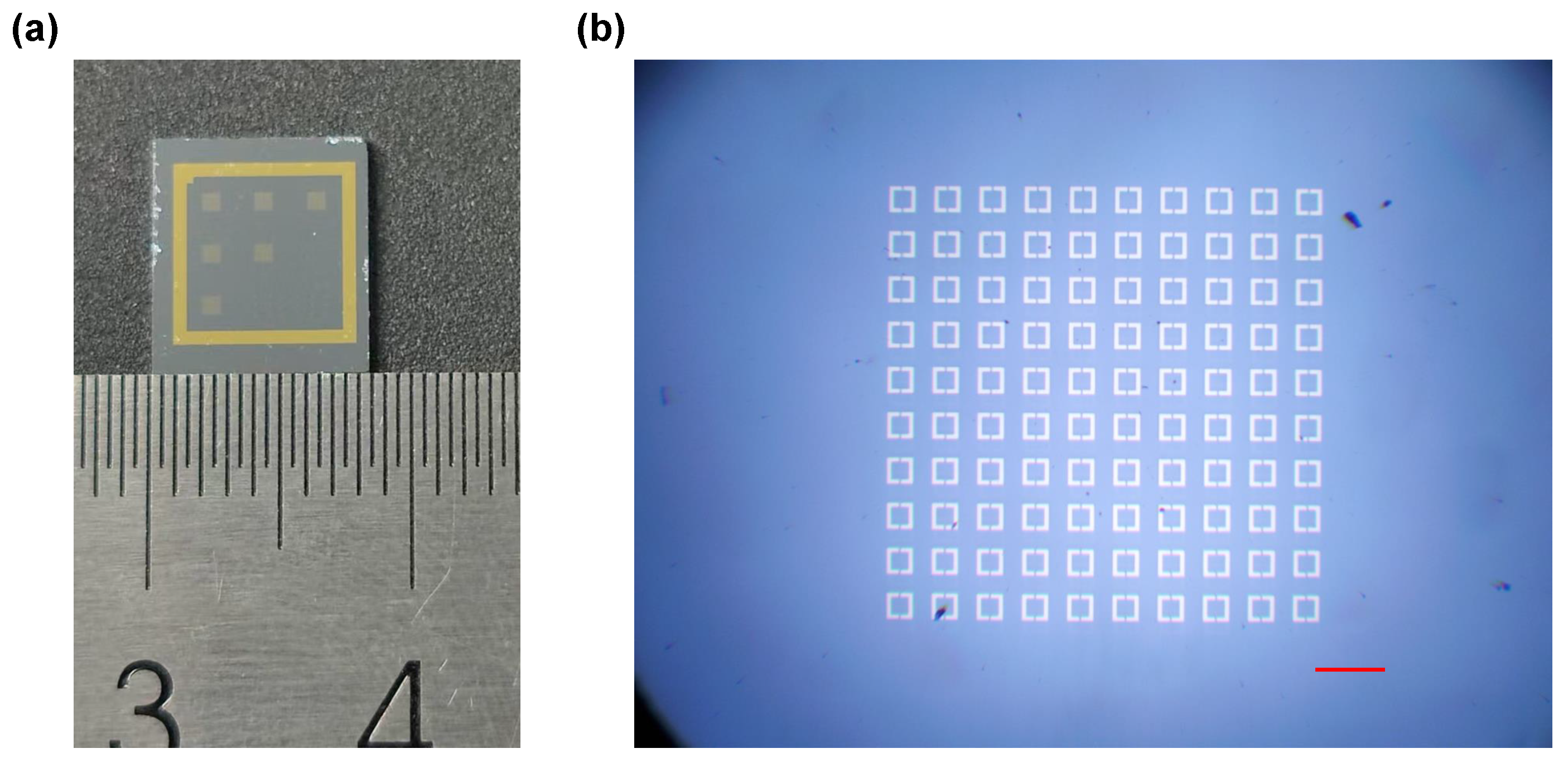 Sensors 24 05866 g0a1