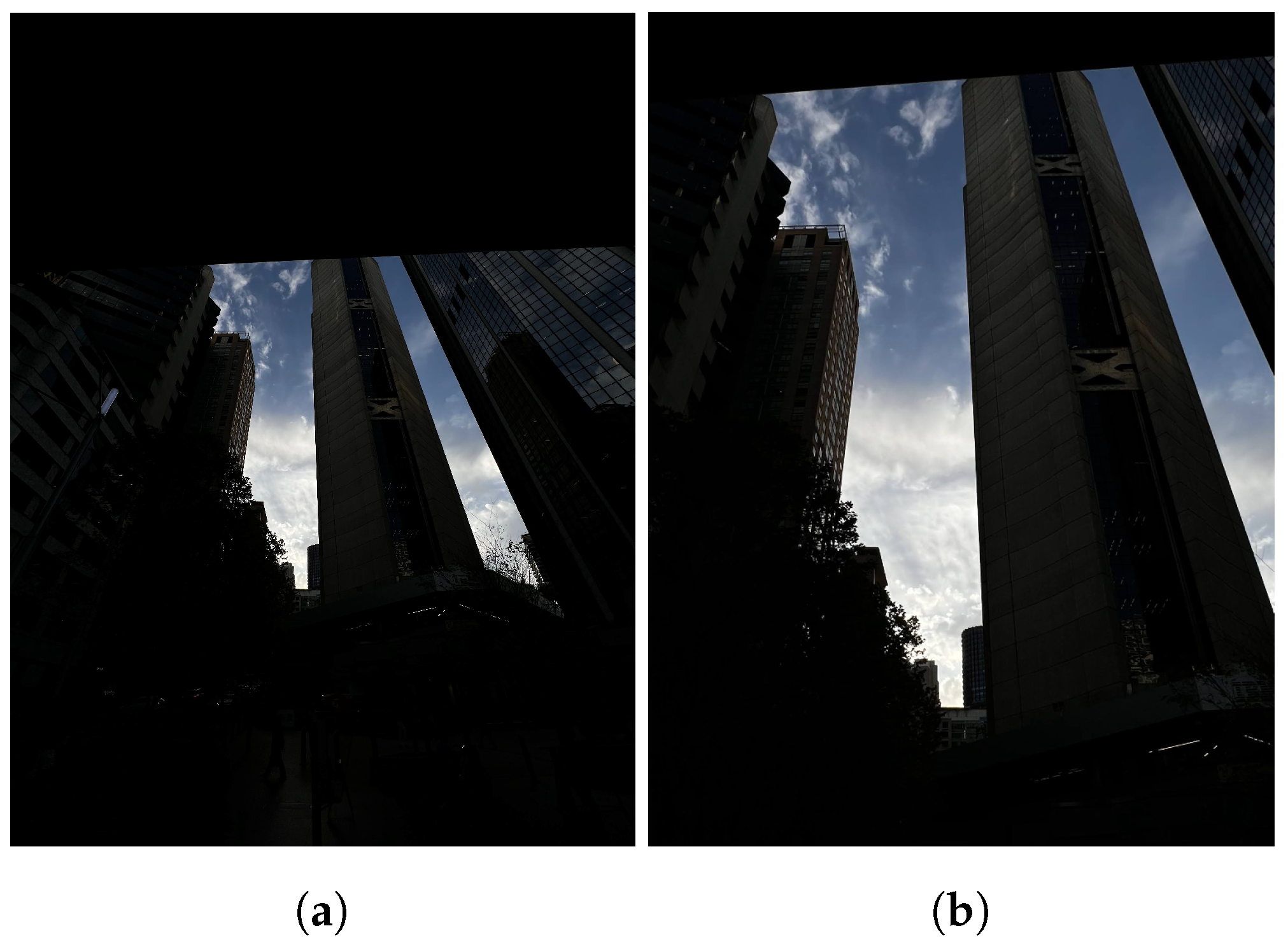 Sensors 24 05876 g004