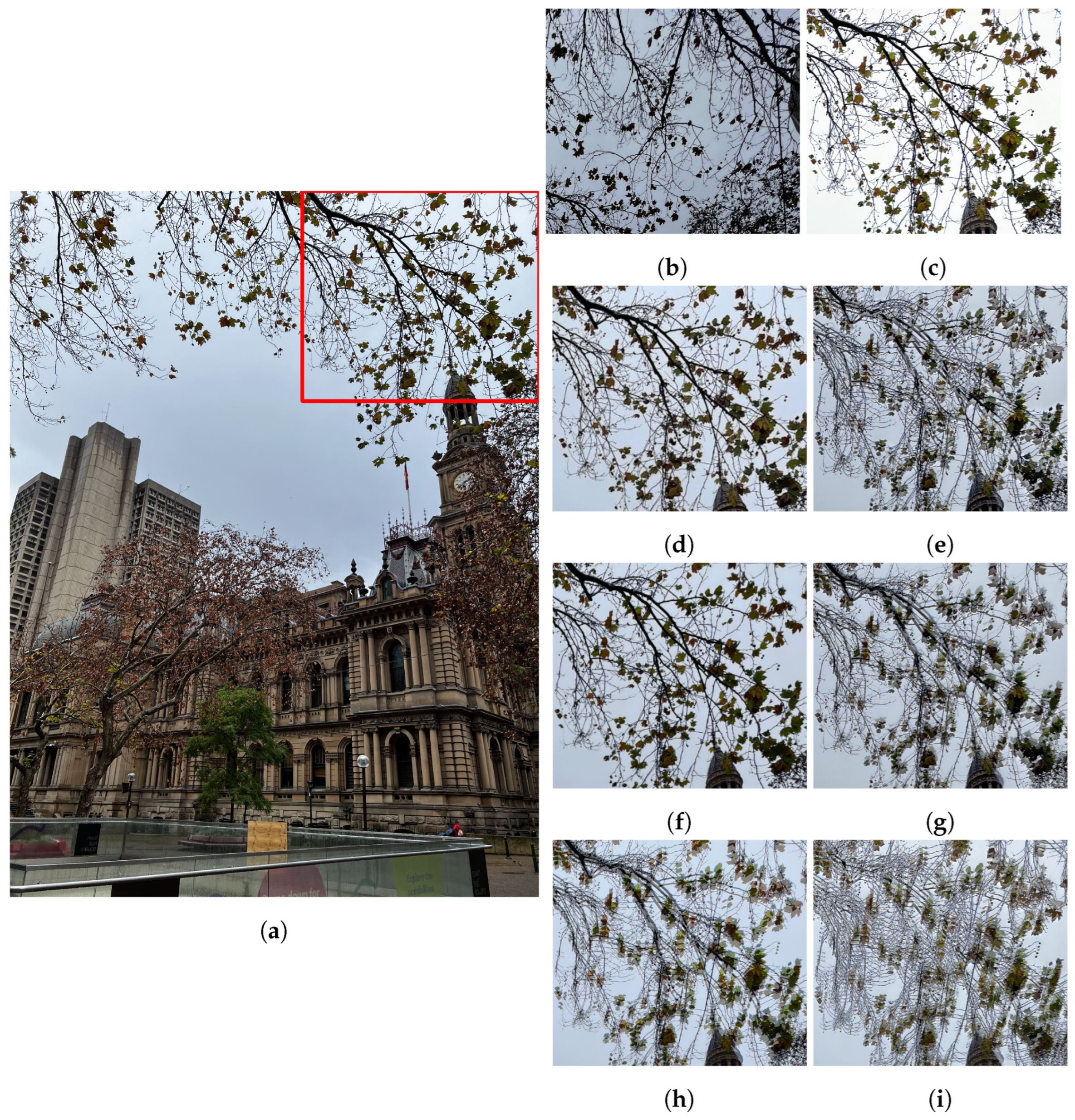 Sensors 24 05876 g013