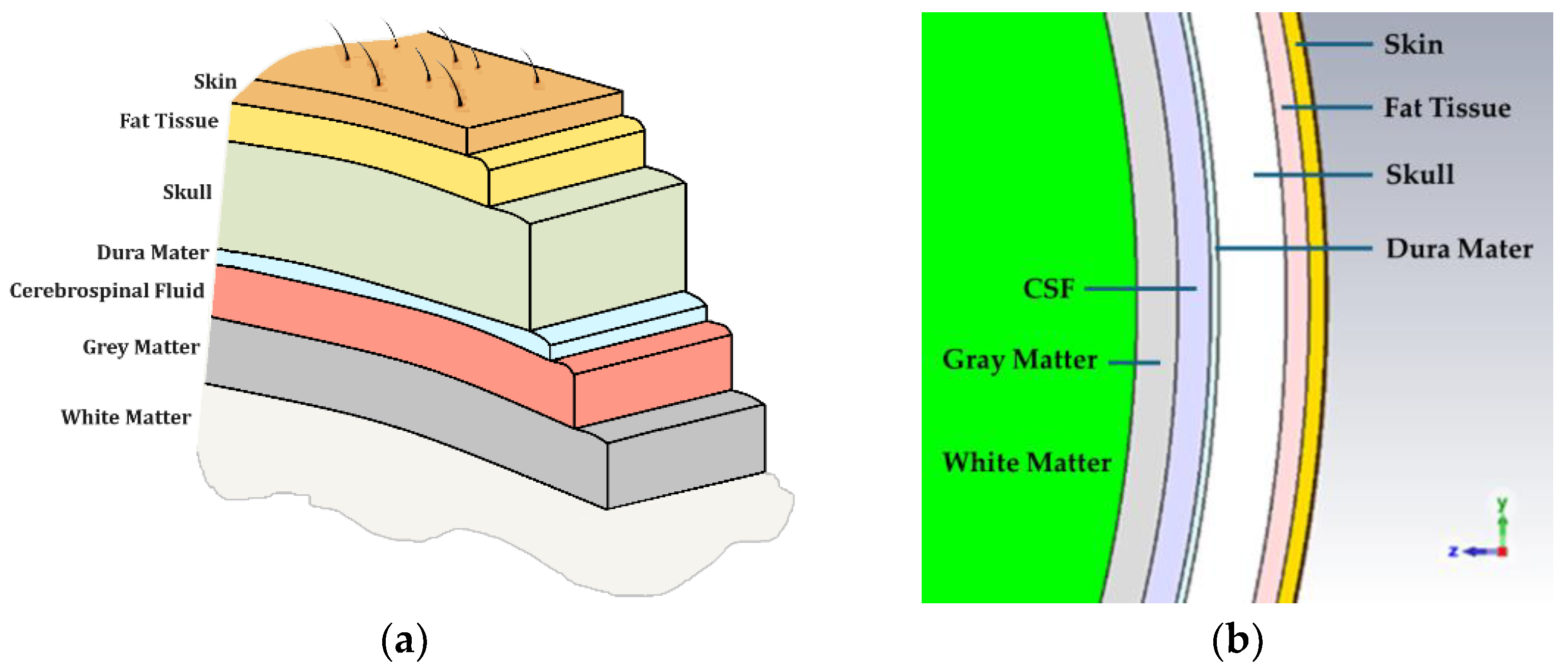 Sensors 24 05953 g001