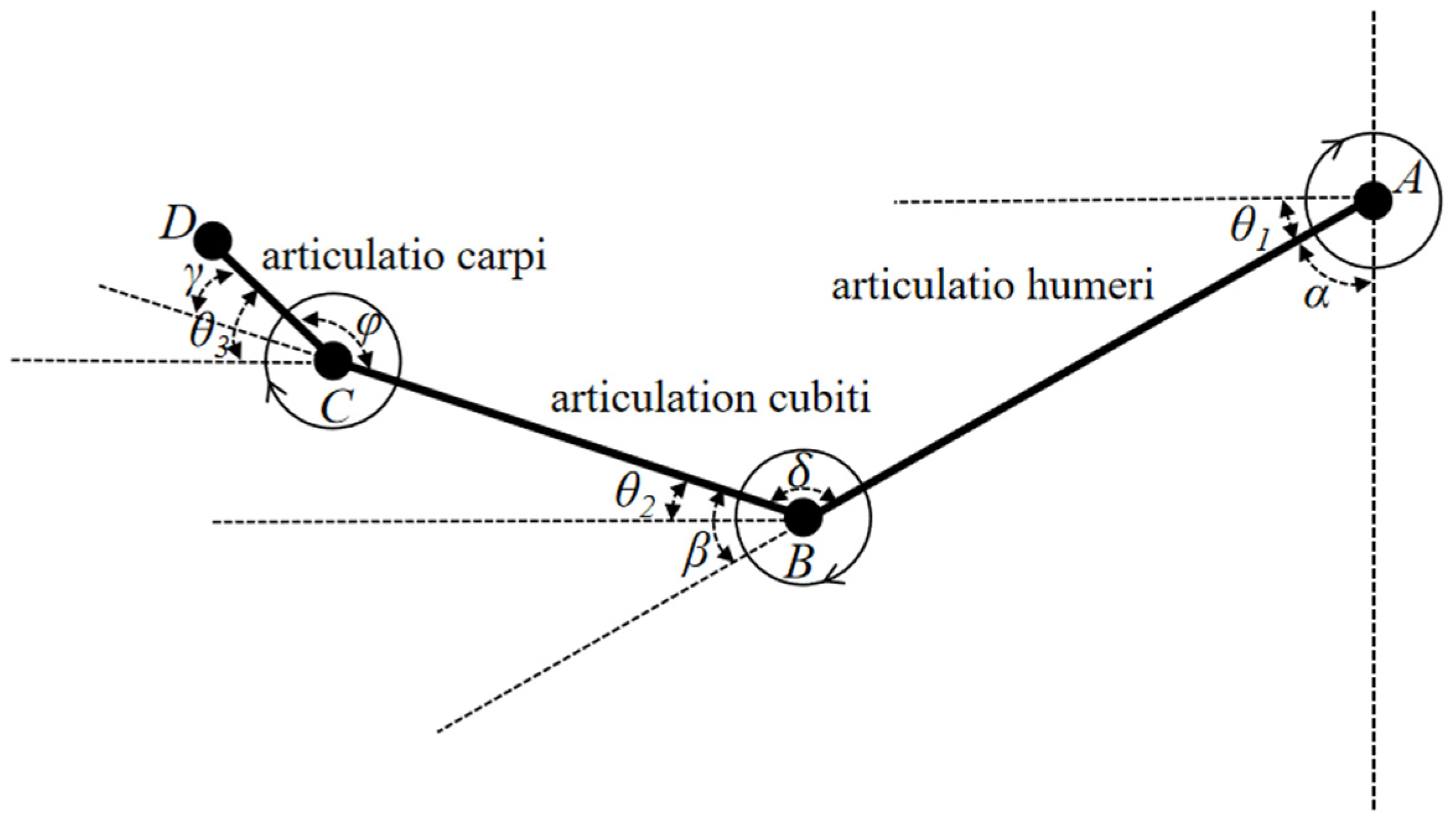 Sensors 24 05962 g006