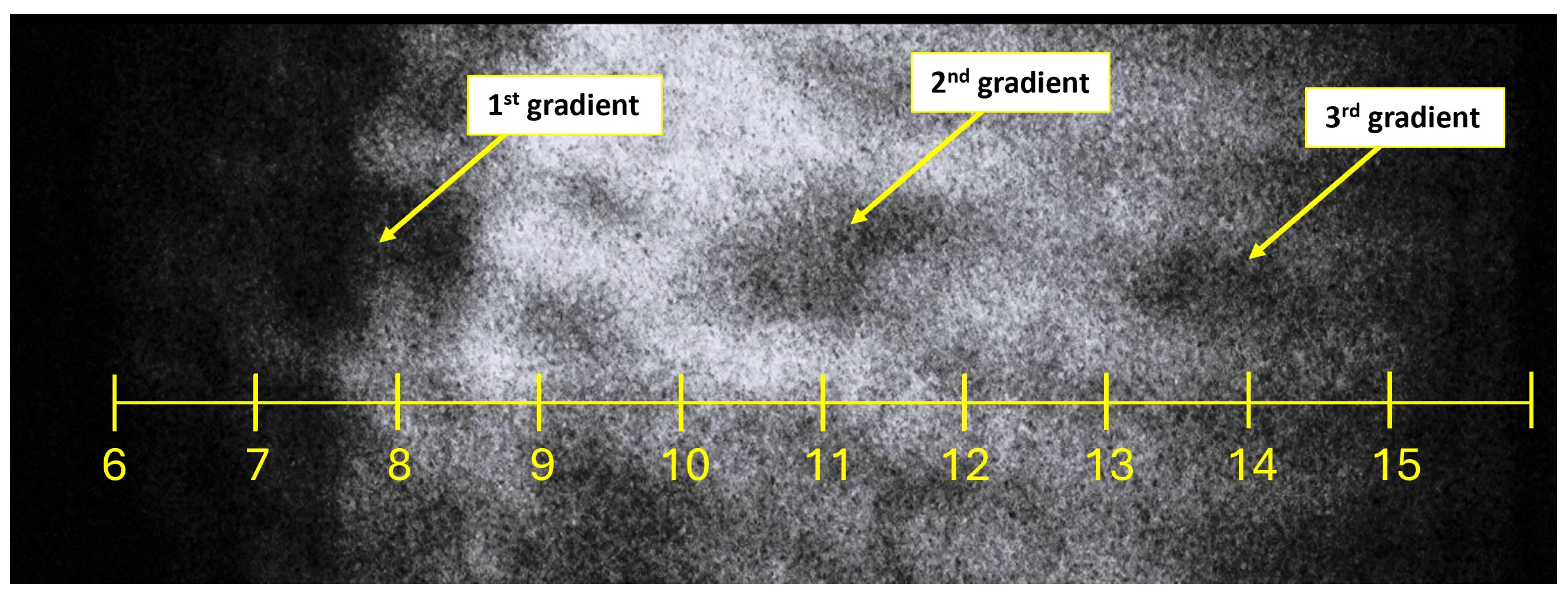Sensors 24 05968 g013