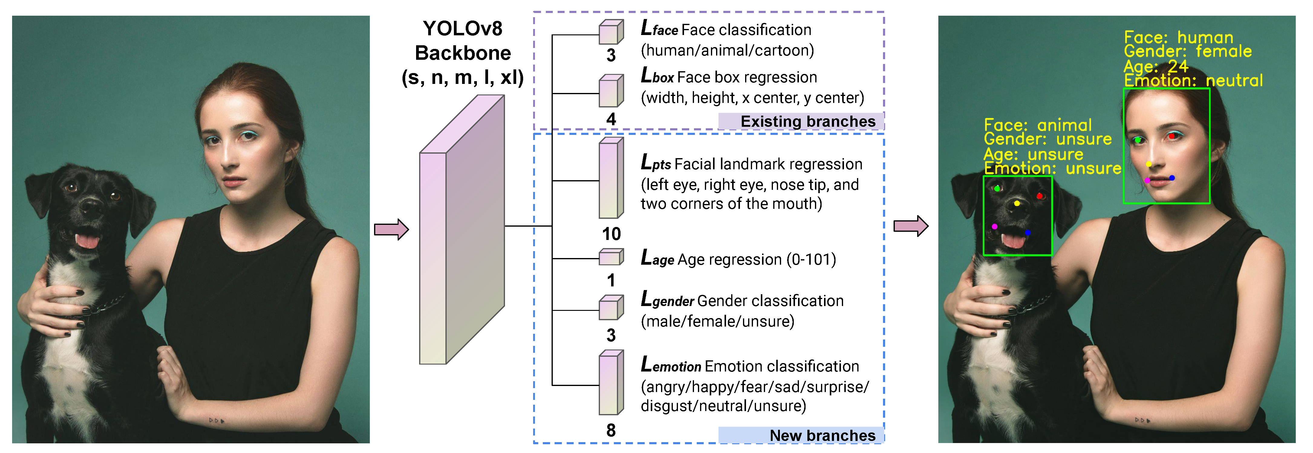 Sensors 24 05993 g001