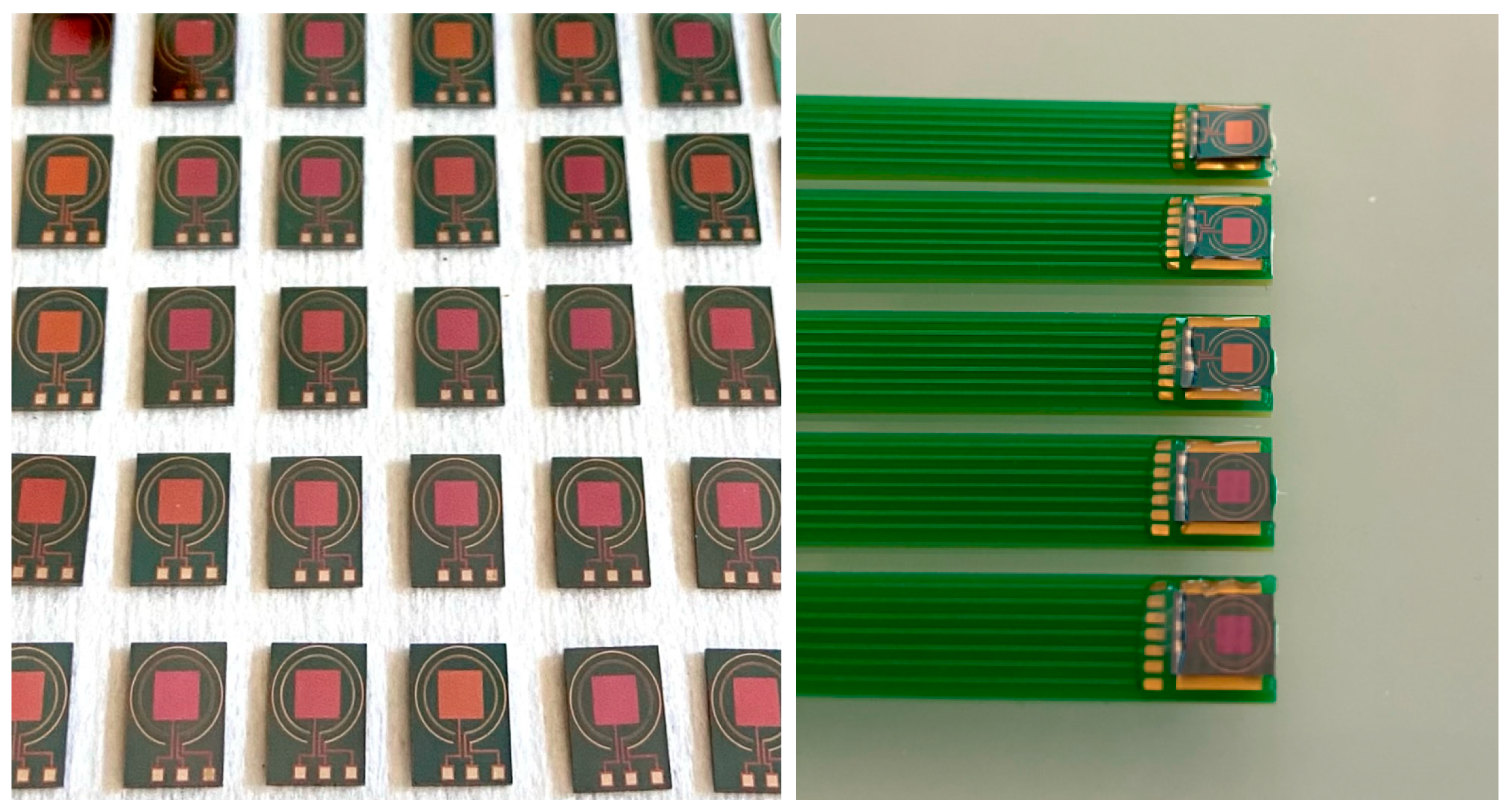 Sensors 24 05994 g002