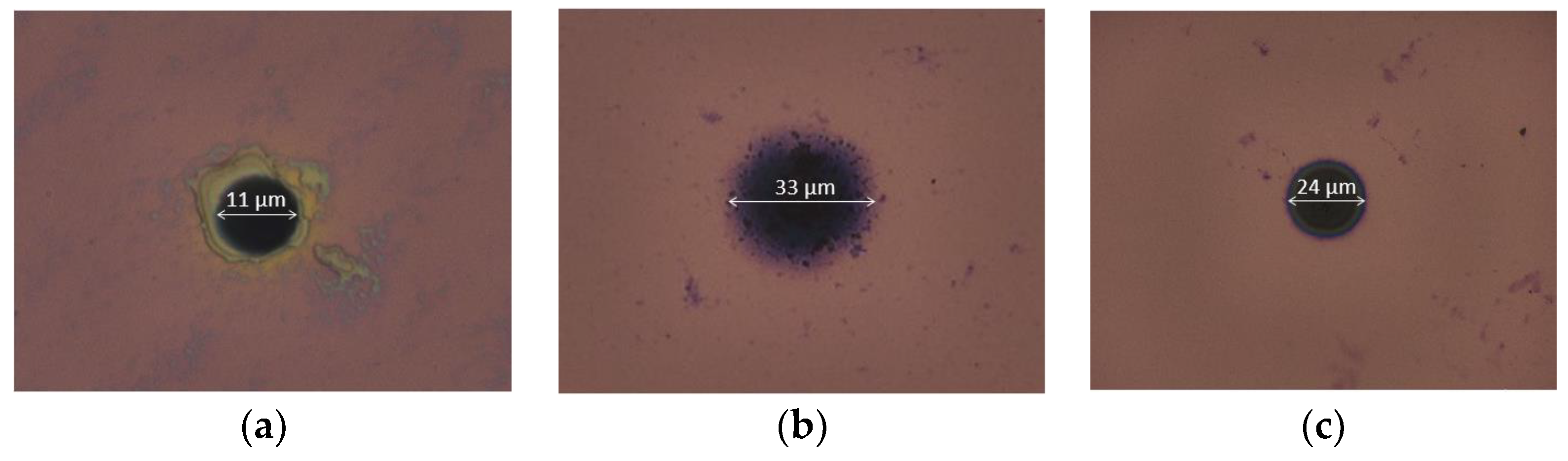 Sensors 24 05994 g005