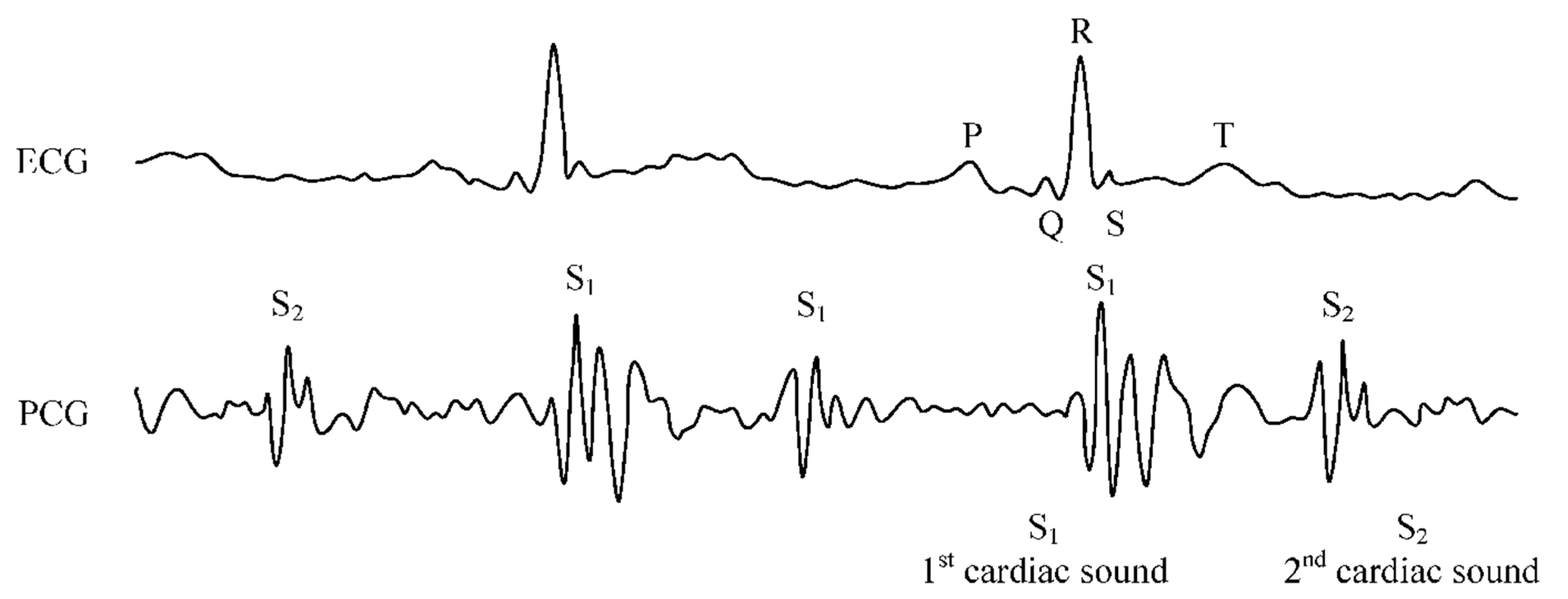 Sensors 24 06066 g003