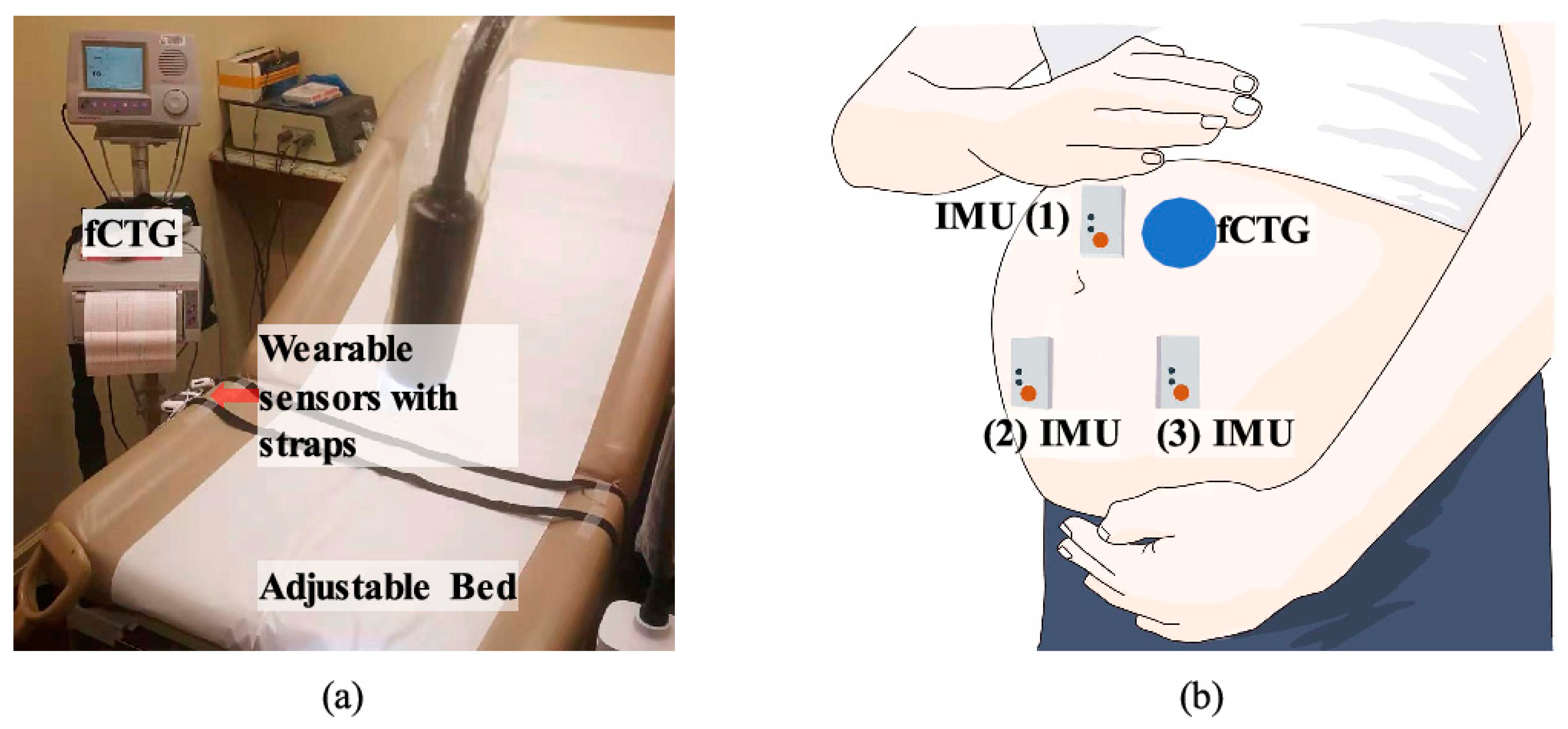 Sensors 24 06066 g006