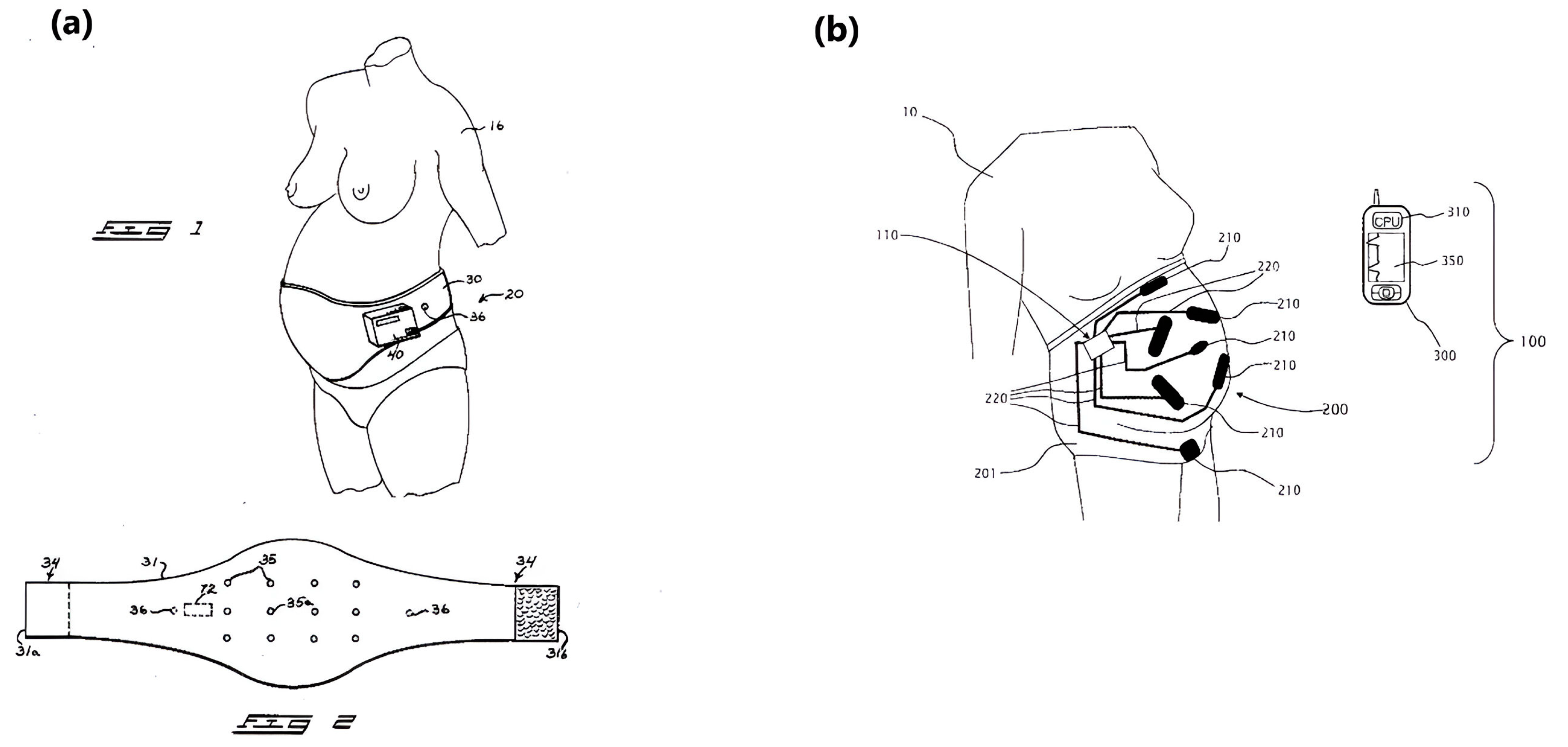 Sensors 24 06066 g007