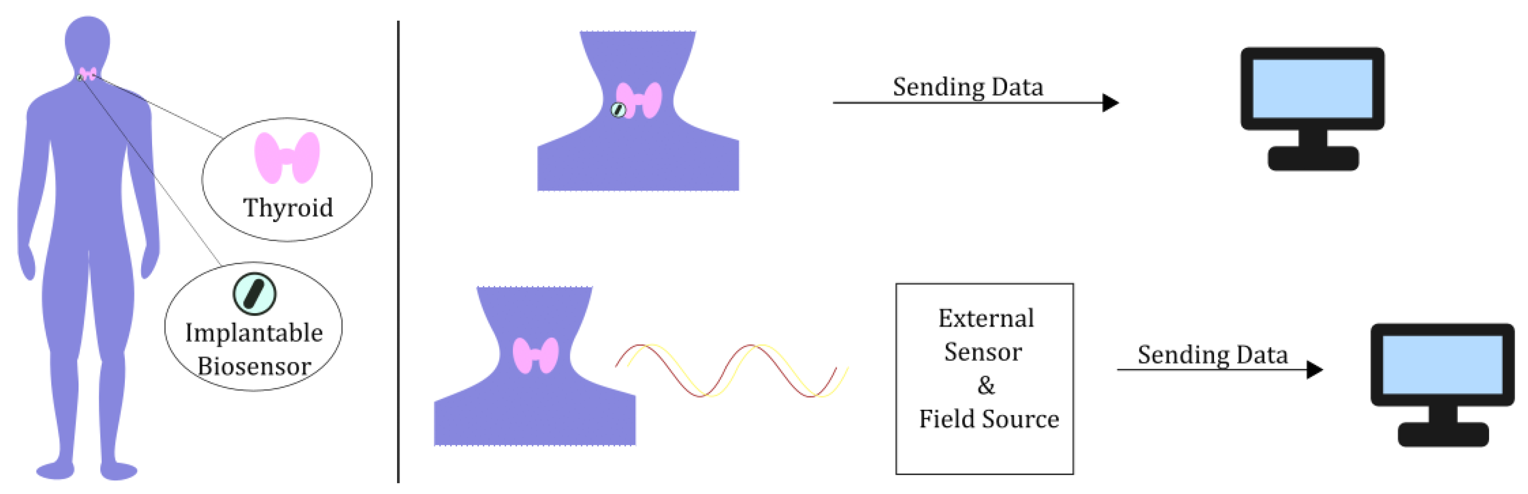 Sensors 24 06104 g001