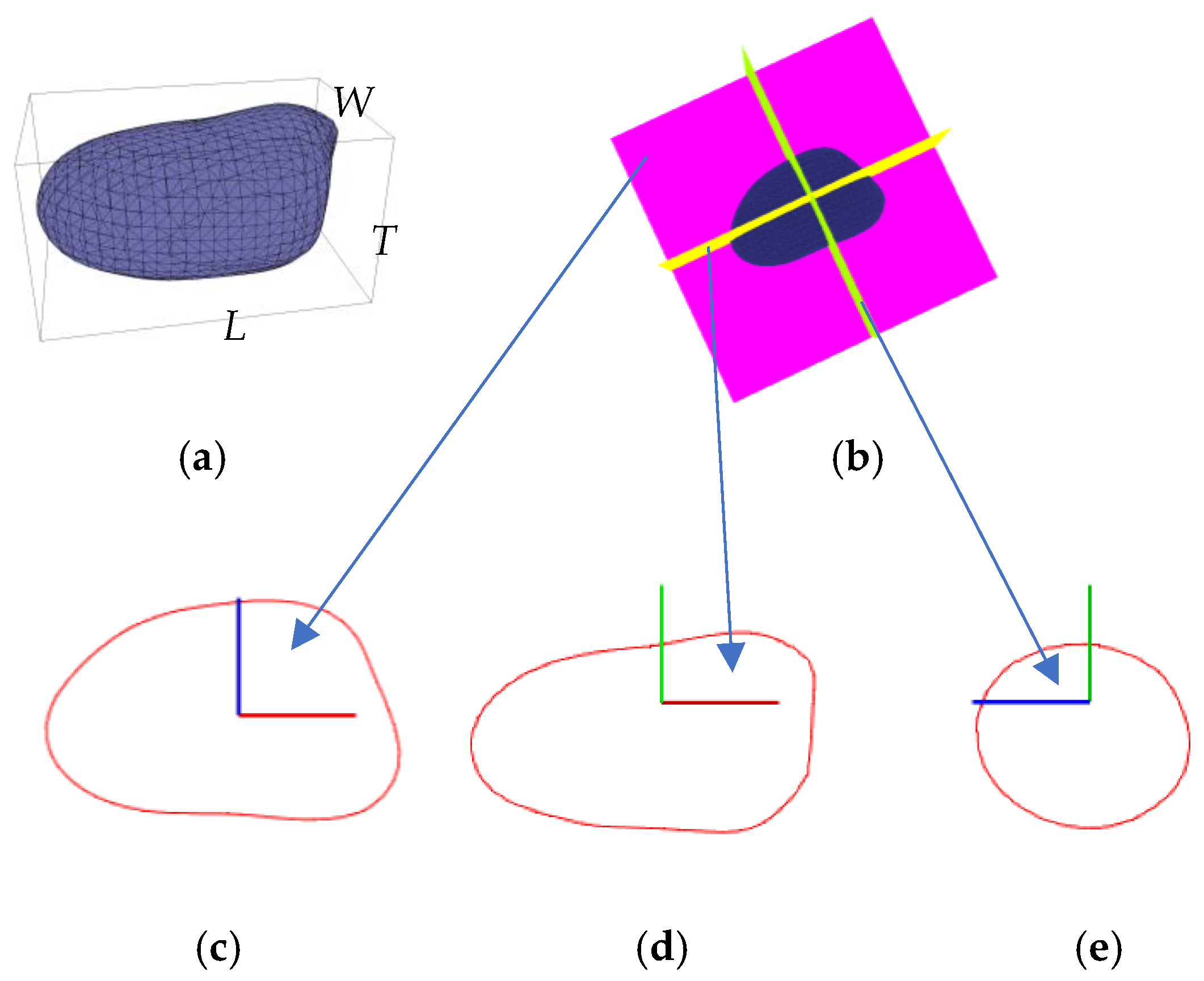 Sensors 24 06117 g006