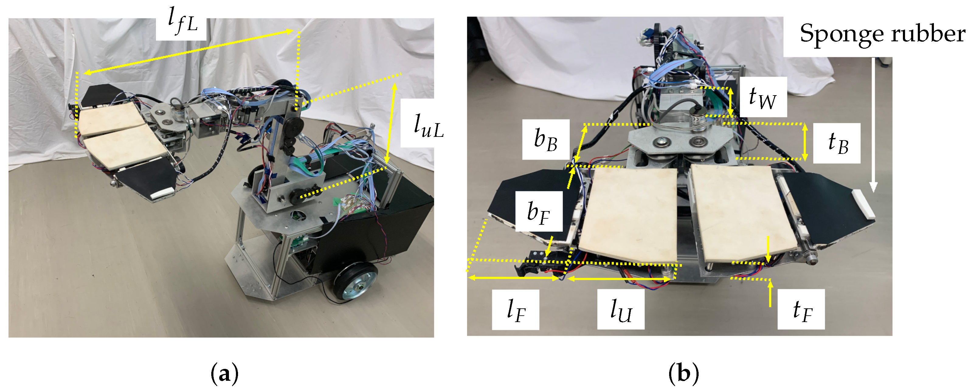Sensors 24 06162 g0a1