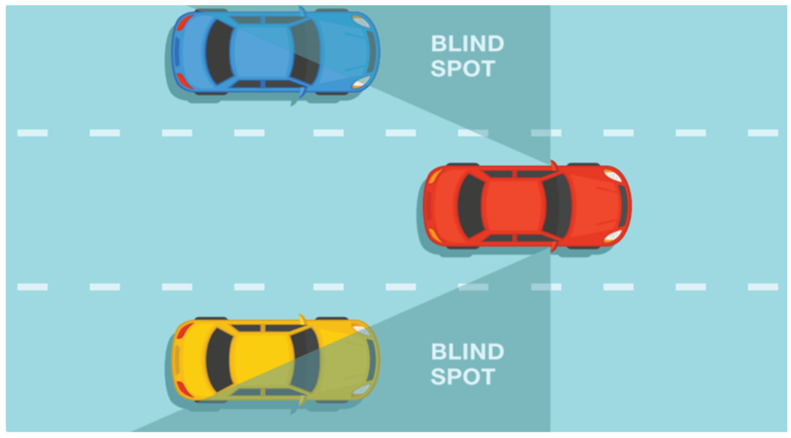 Sensors 24 06223 g003