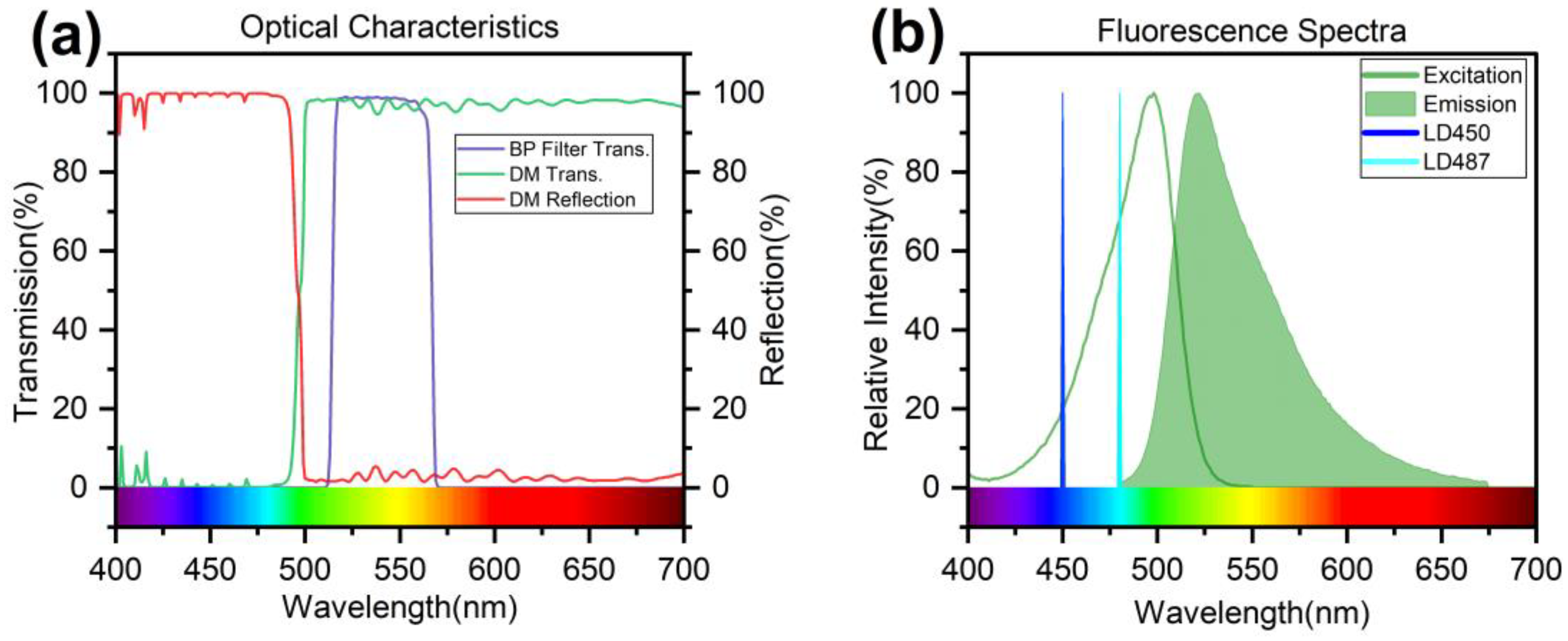 Sensors 24 06224 g003