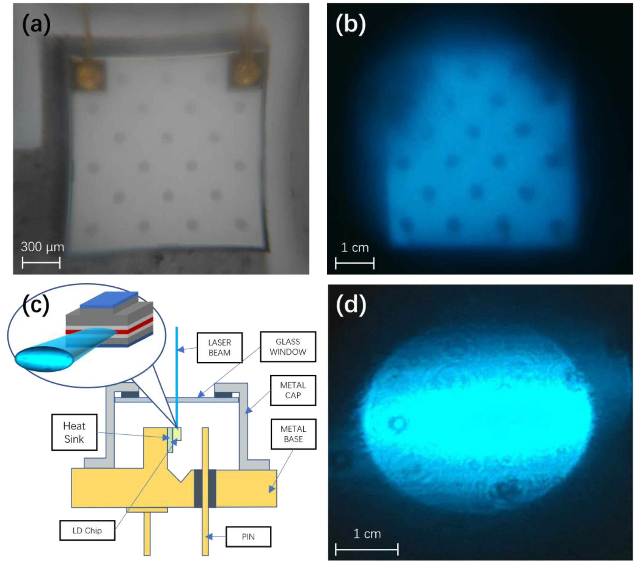 Sensors 24 06224 g004