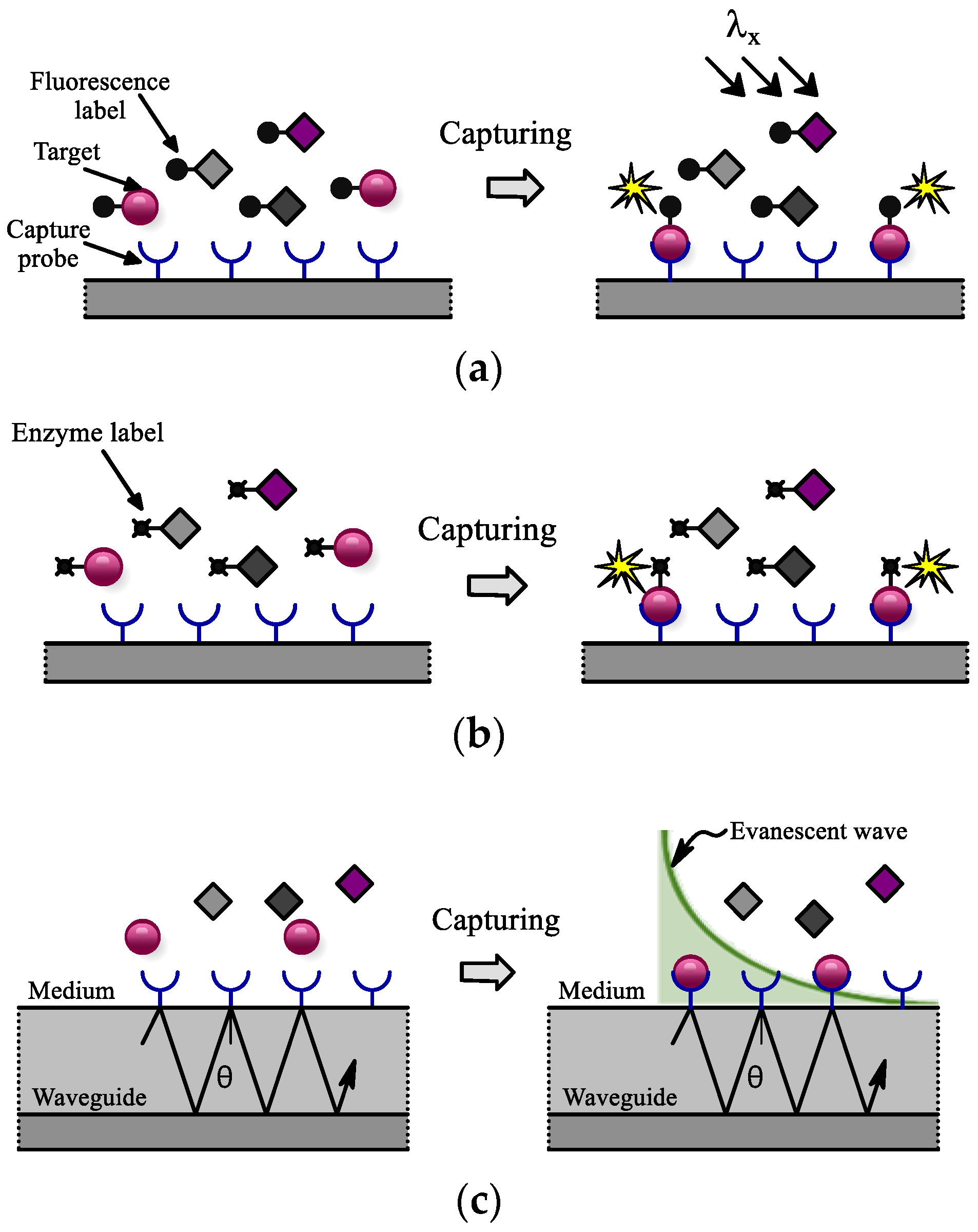 Sensors 24 06264 g012