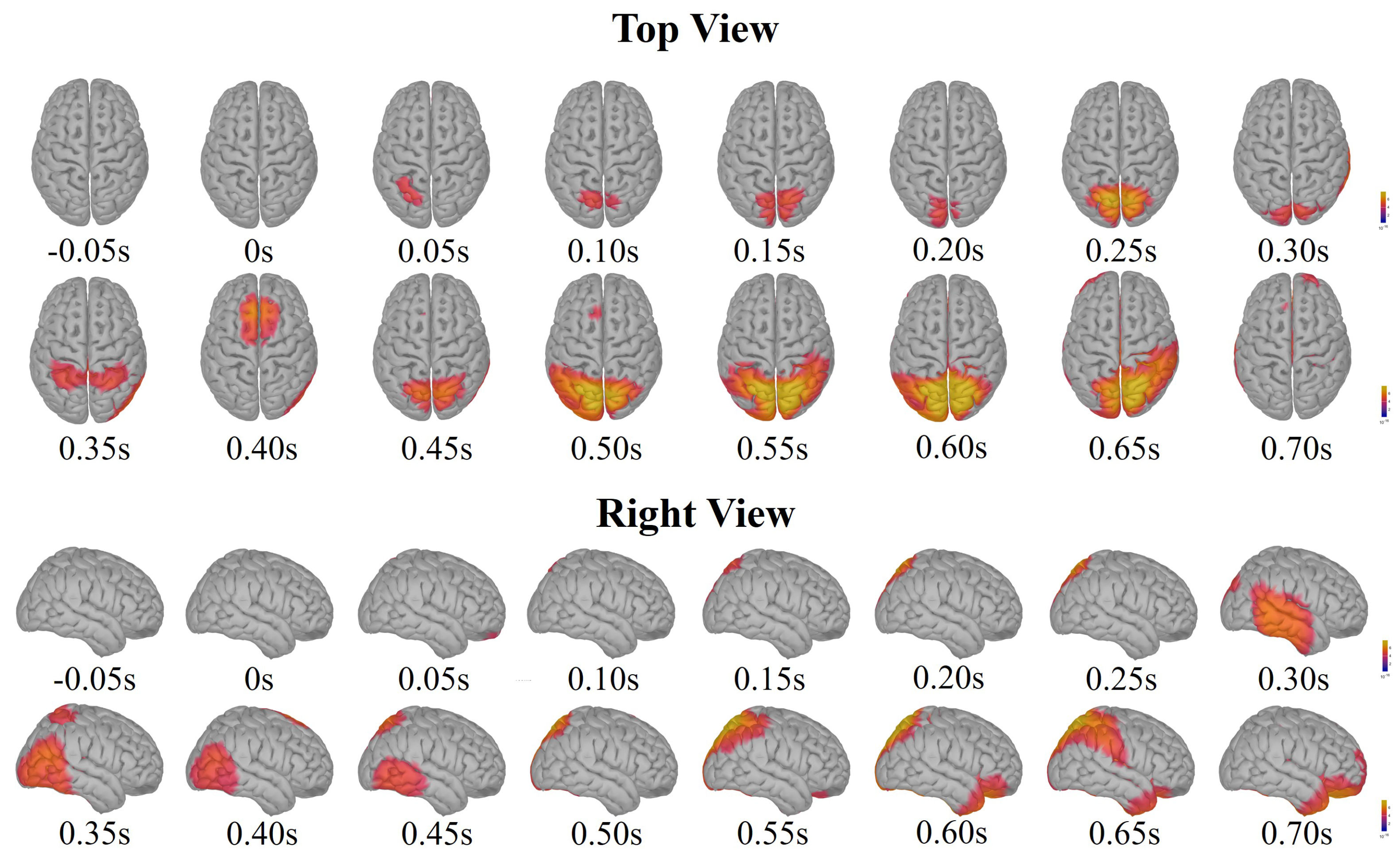 Sensors 24 06304 g008