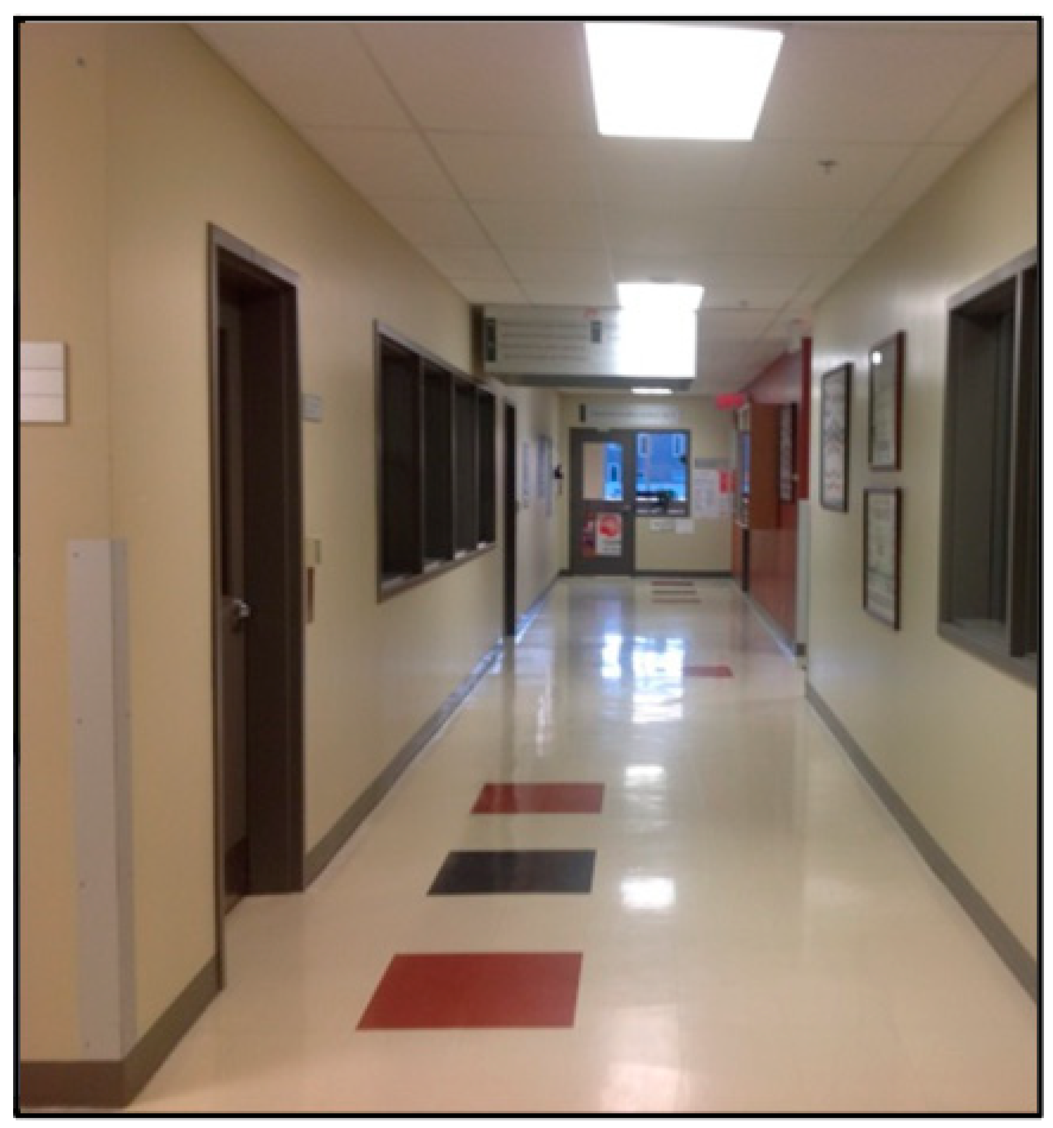 Sensors 24 06307 g001