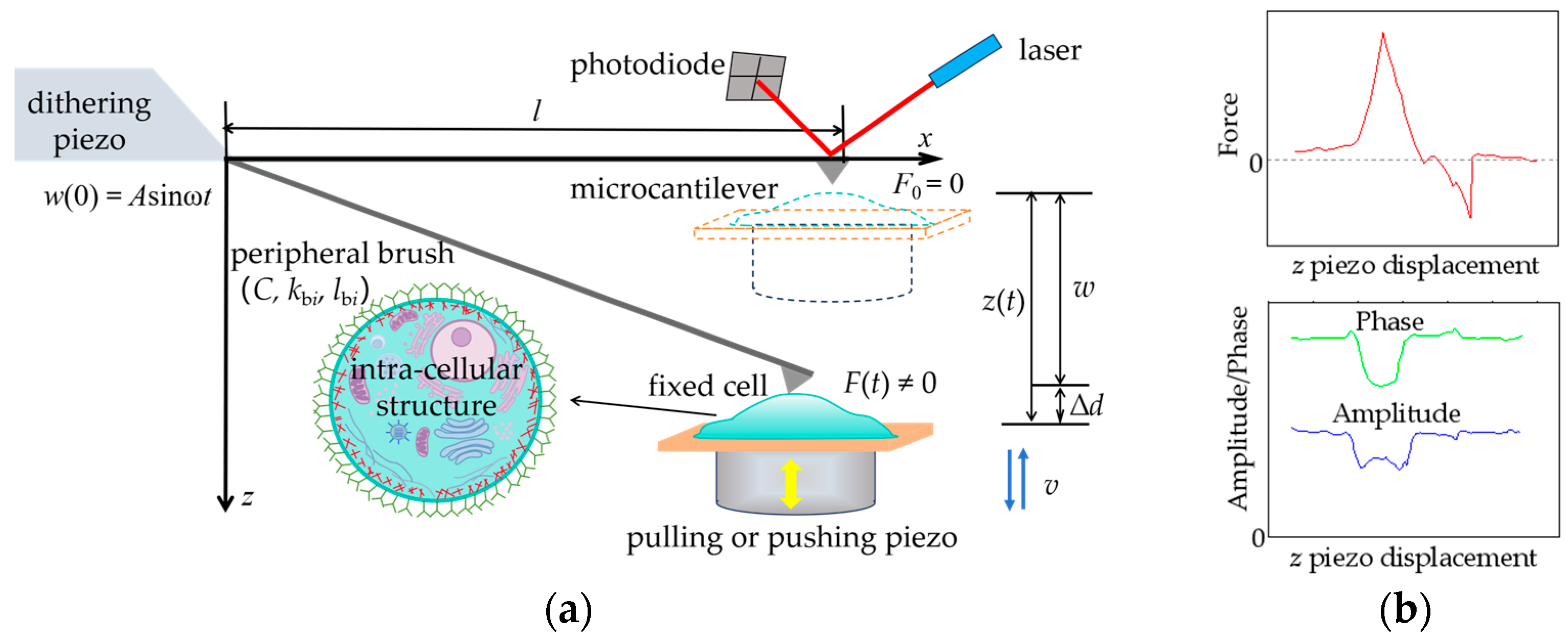 Sensors 24 06312 g001 Sensors 24 06312 g001