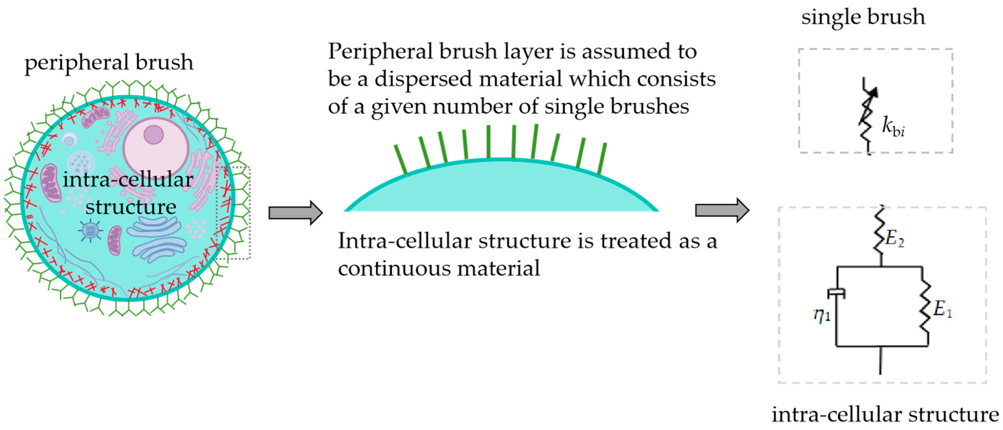 Sensors 24 06312 g002 Sensors 24 06312 g002