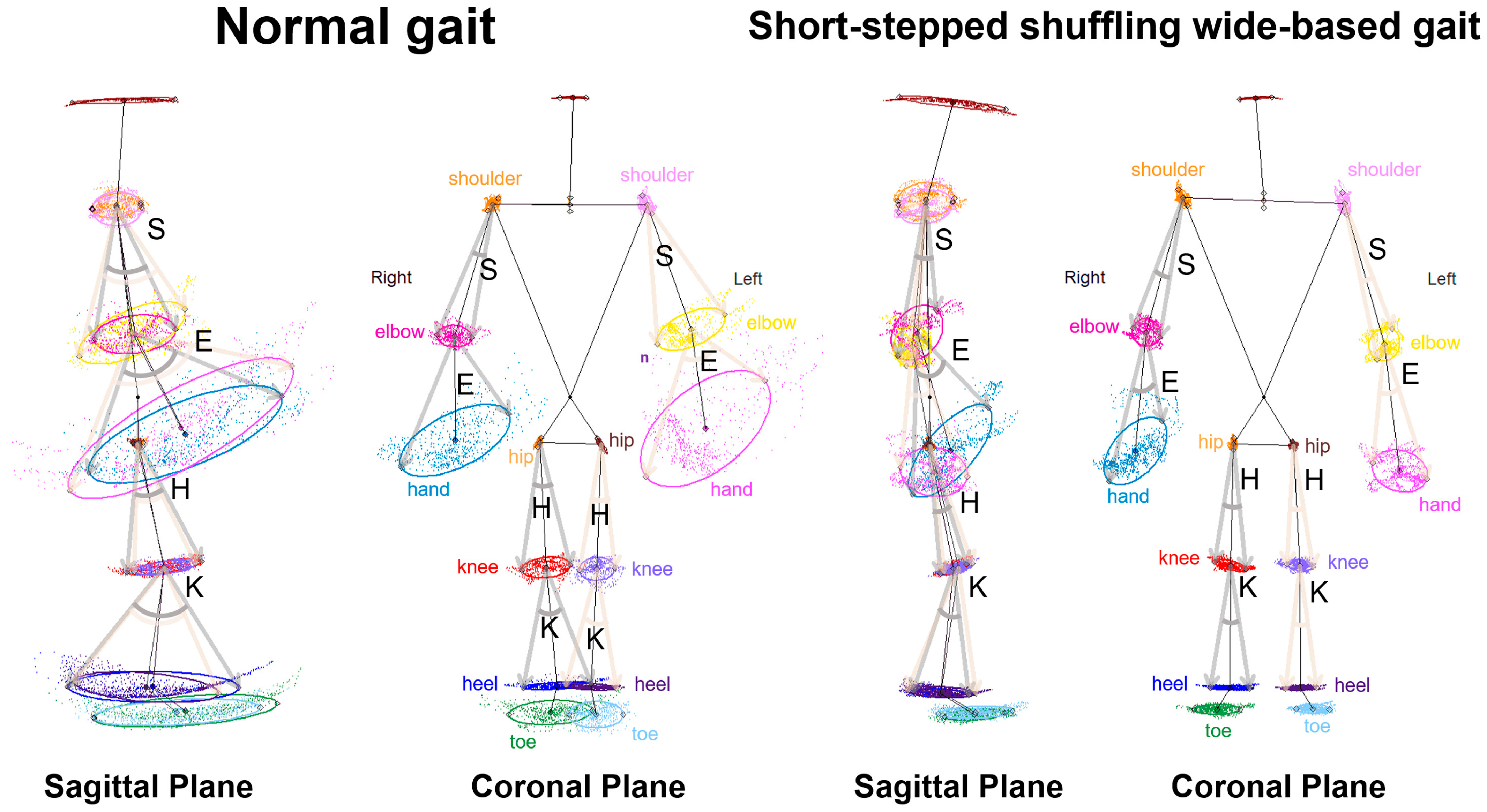 Sensors 24 06329 g002
