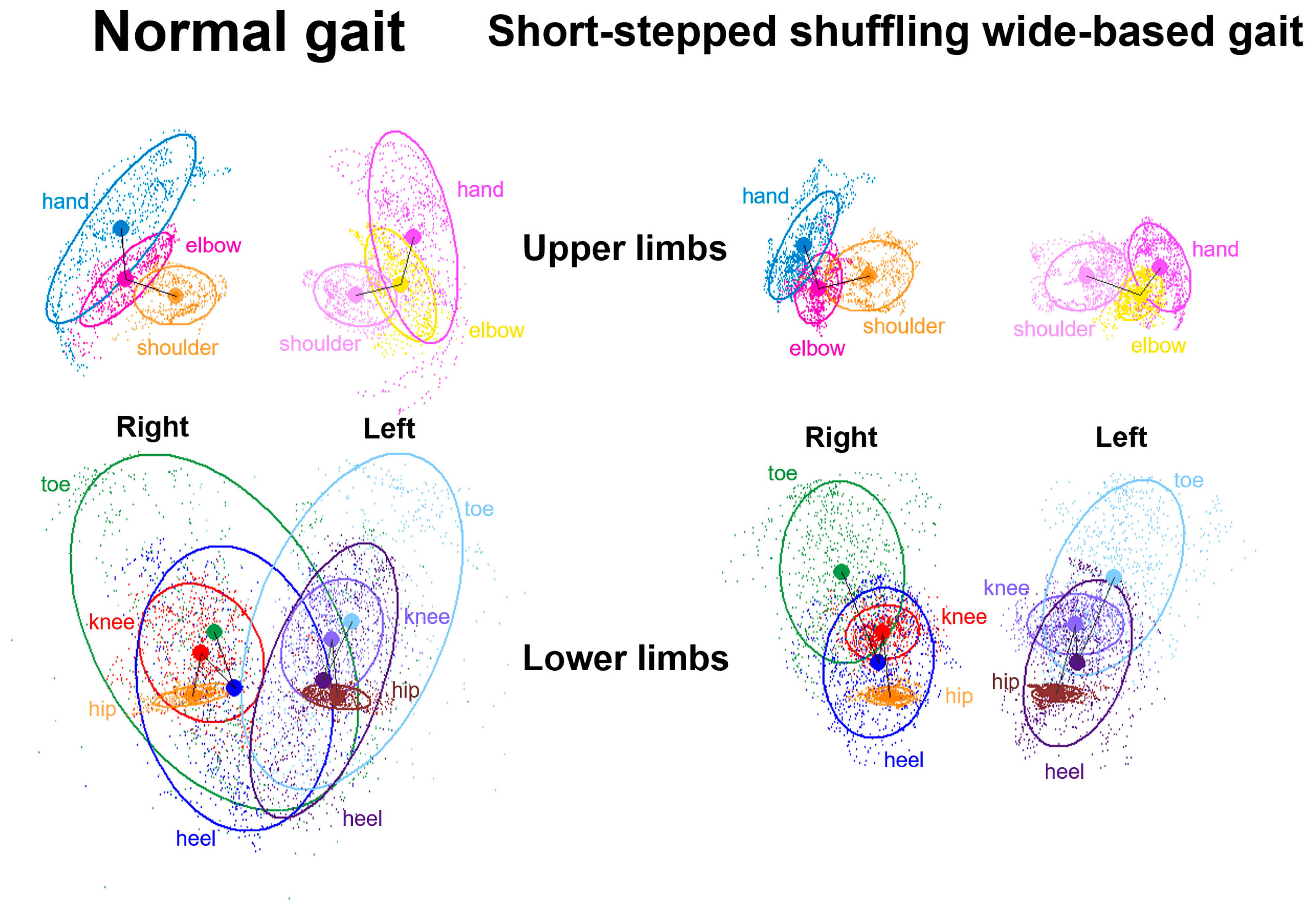 Sensors 24 06329 g003