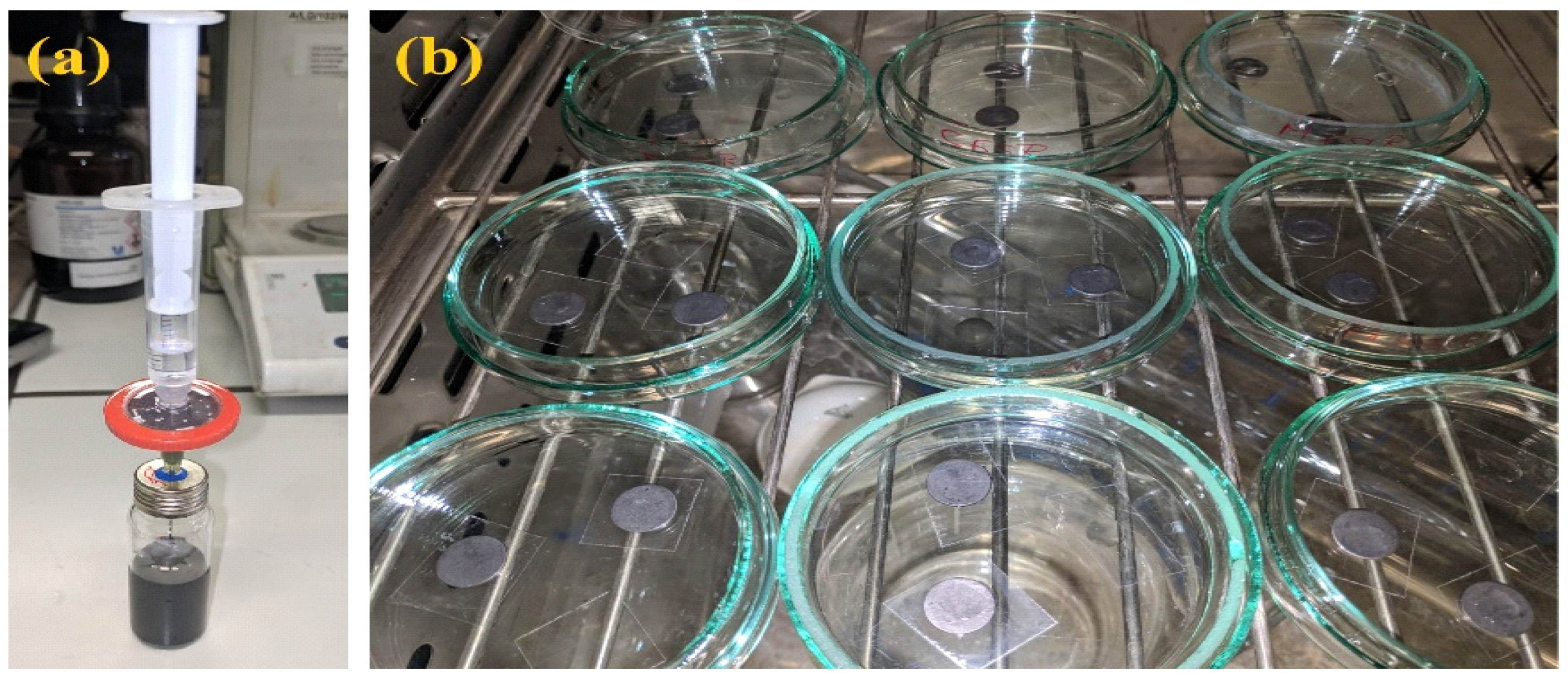 Sensors 24 06346 g003