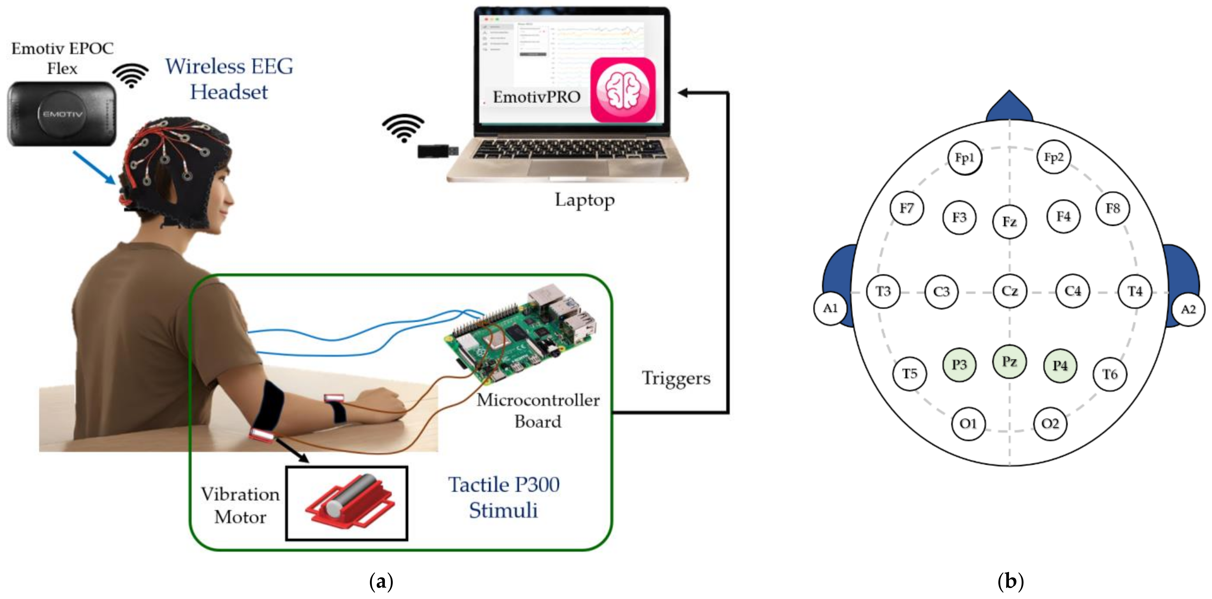 Sensors 24 06378 g001