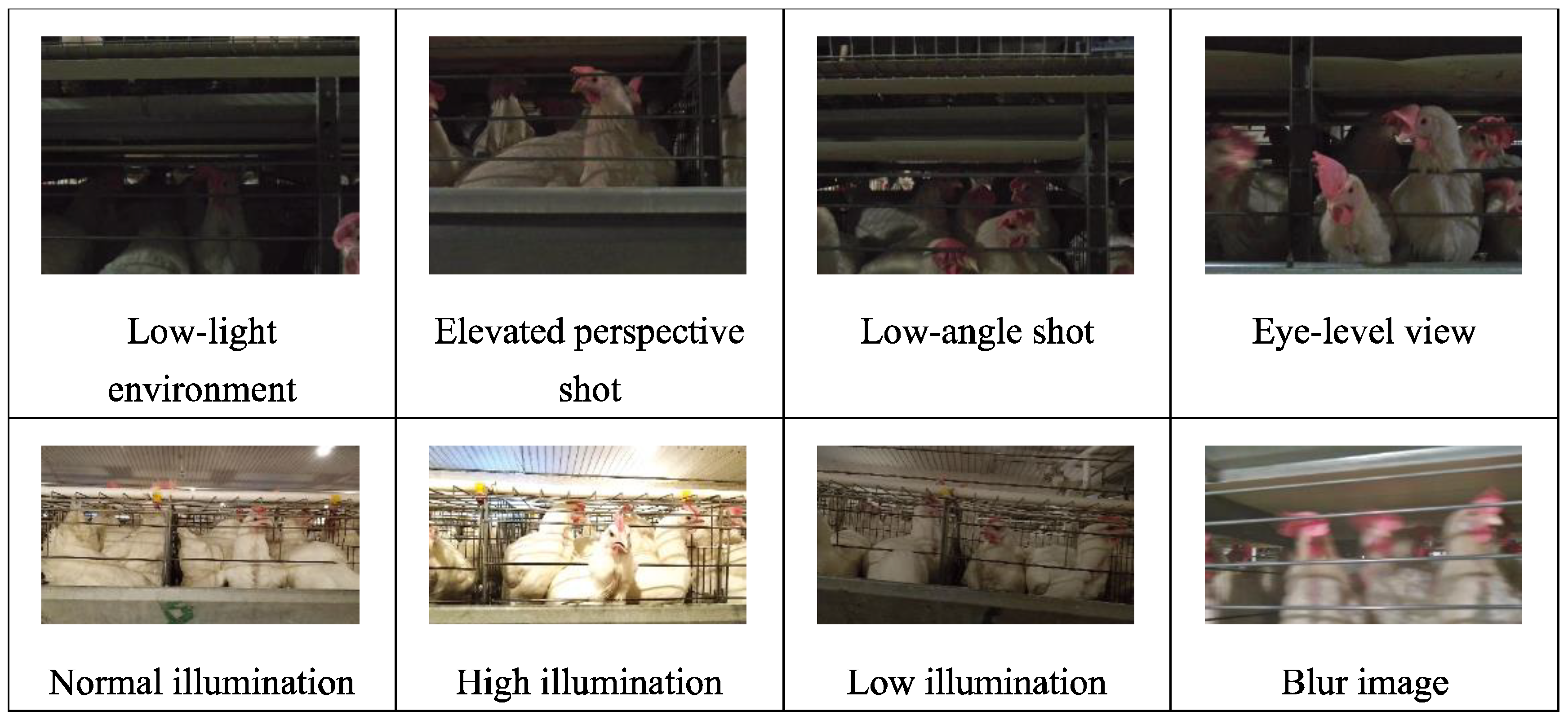 Sensors 24 06385 g007