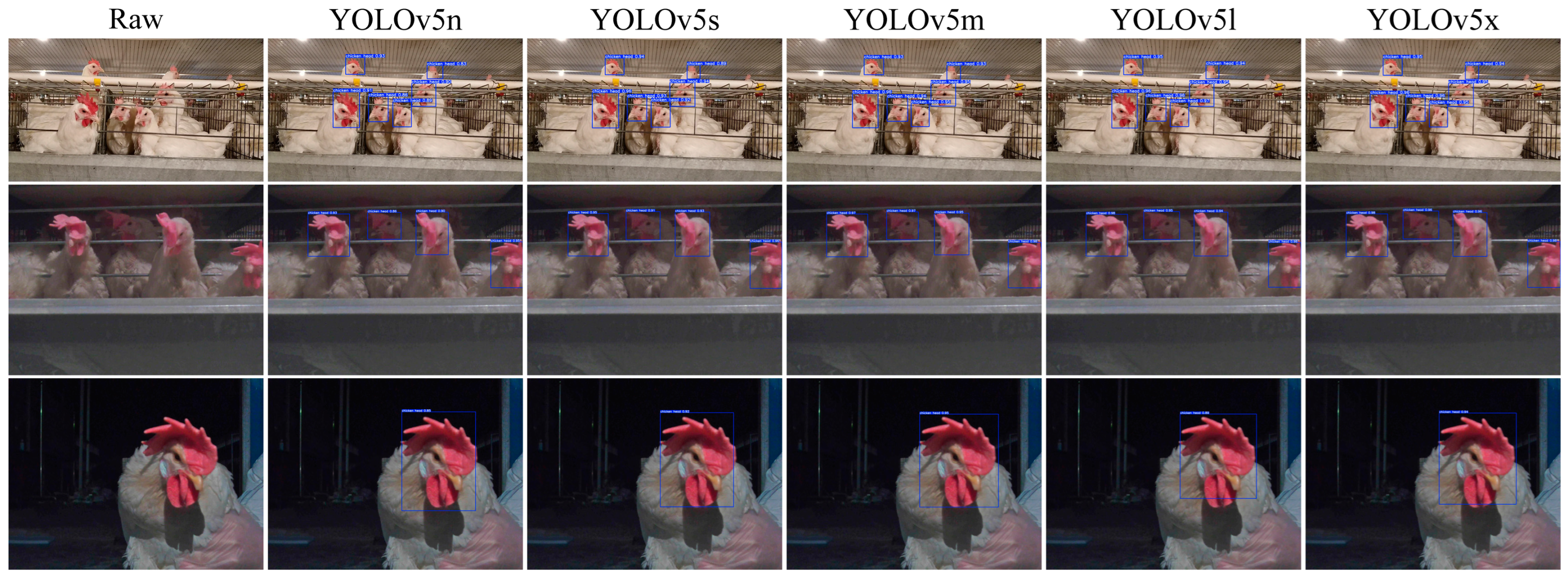 Sensors 24 06385 g020