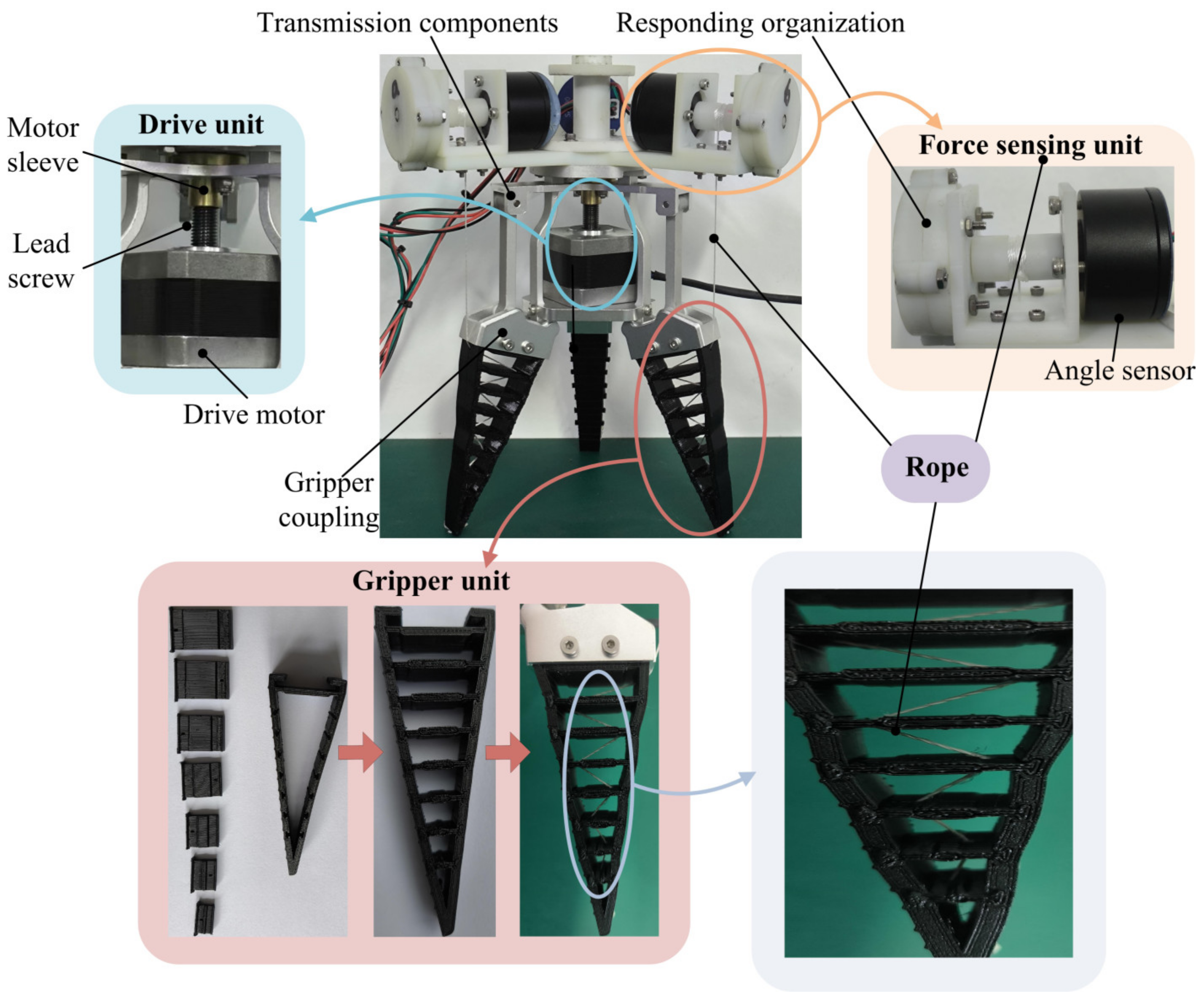 Sensors 24 06407 g002