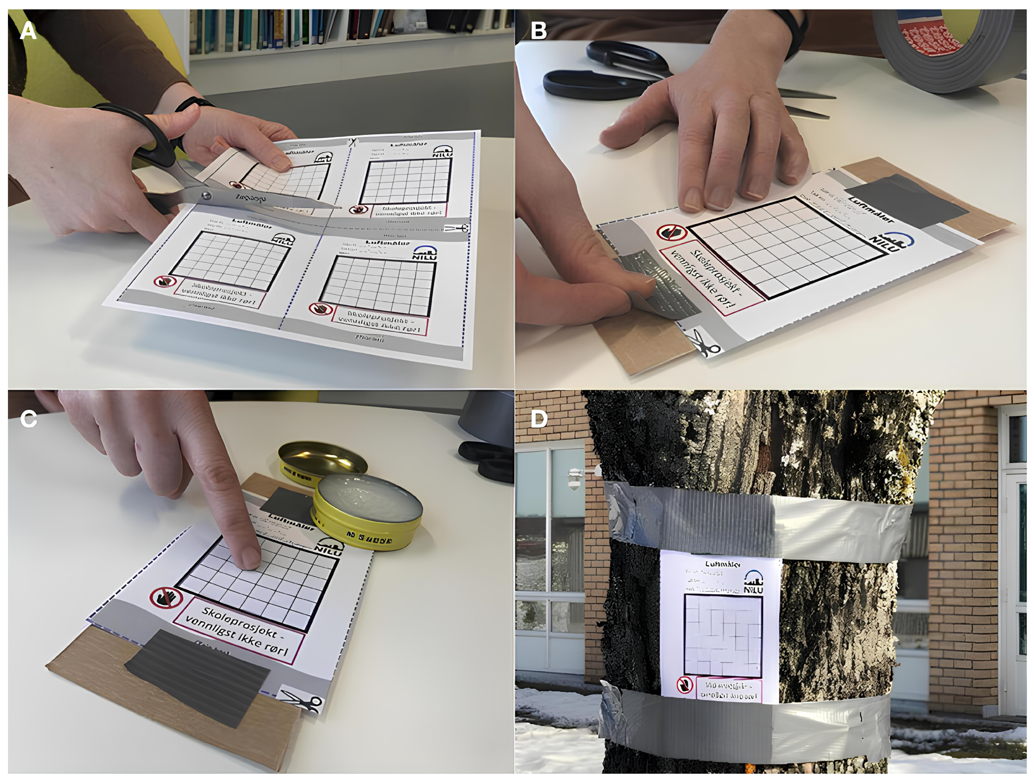 Sensors 24 06425 g005