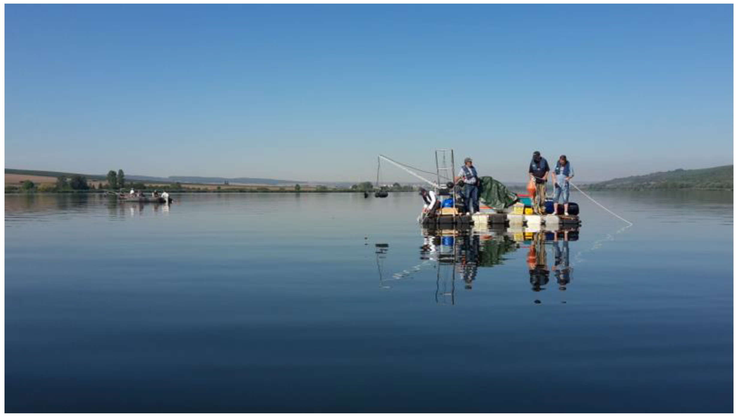 Sensors 24 06445 g011