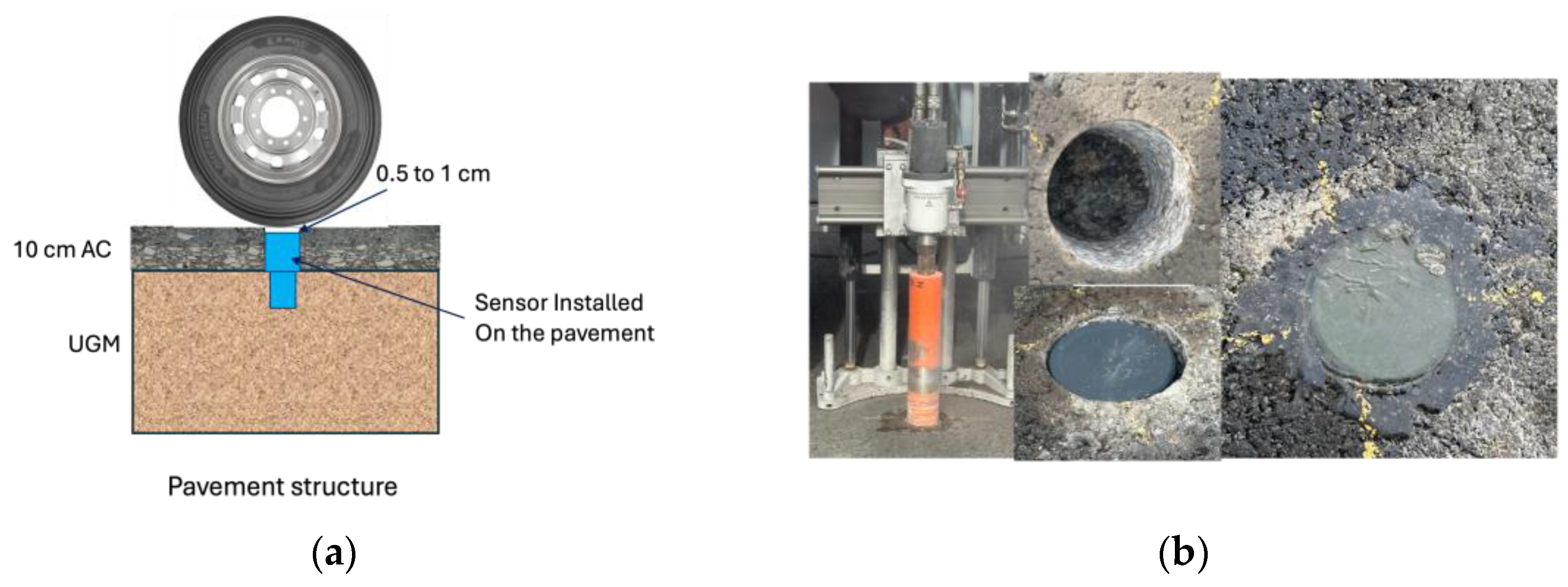 Sensors 24 06487 g013