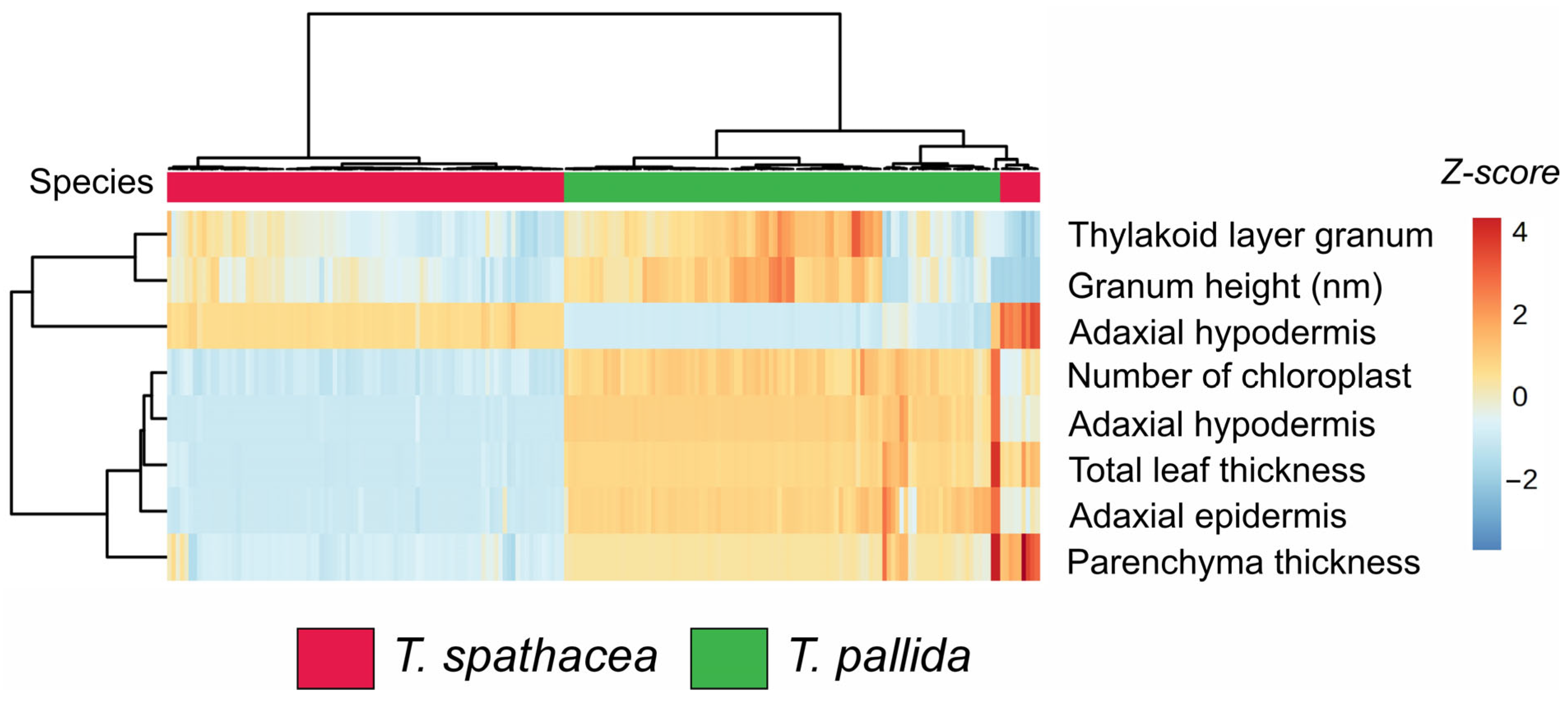 Sensors 24 06490 g002 Sensors 24 06490 g002