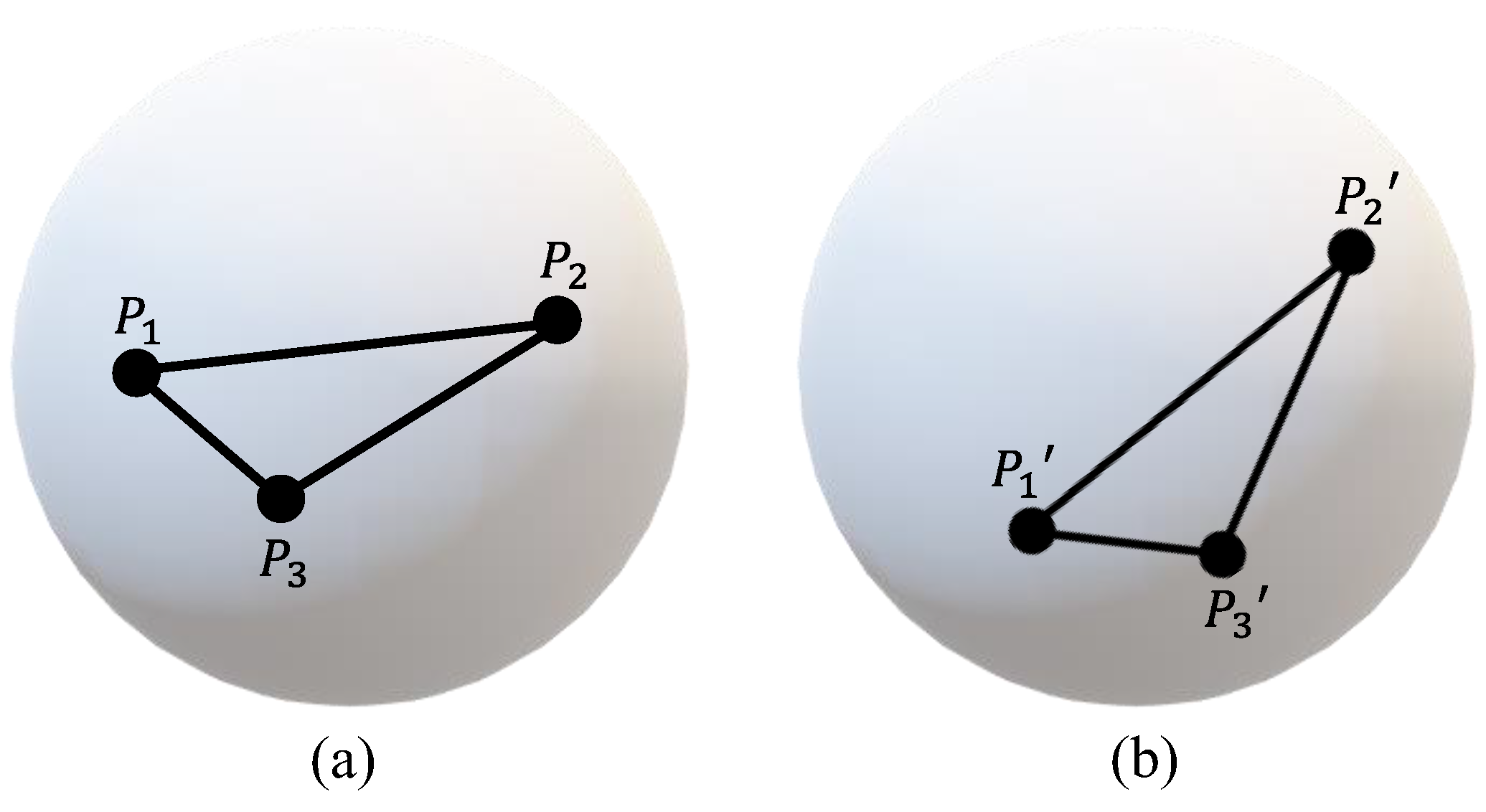 Sensors 24 06499 g002