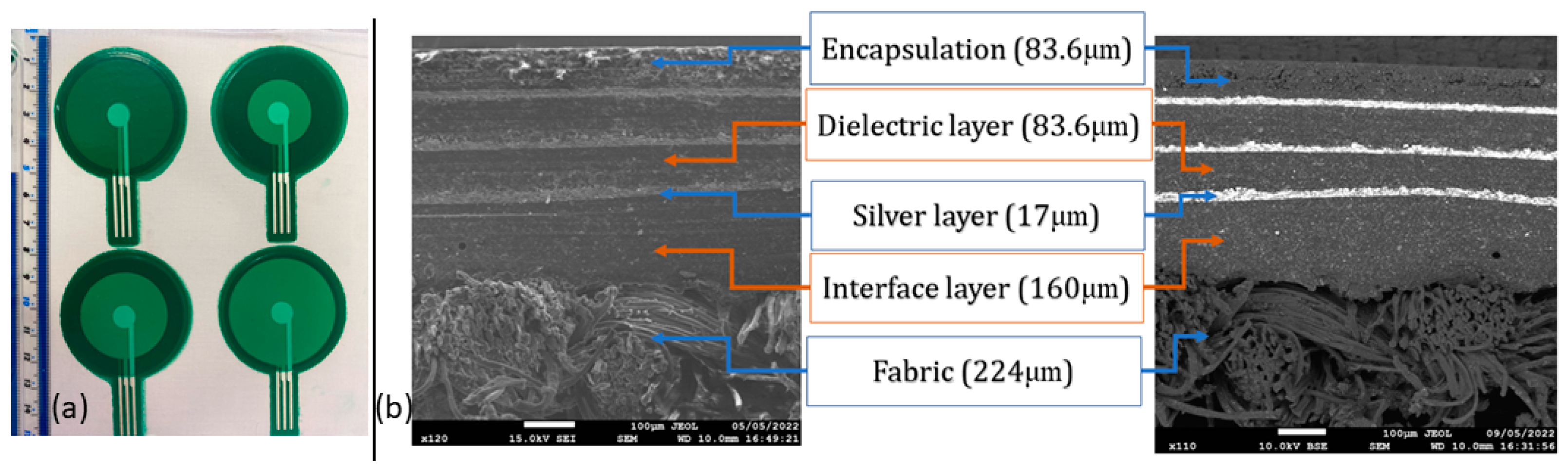 Sensors 24 06513 g006 Sensors 24 06513 g006