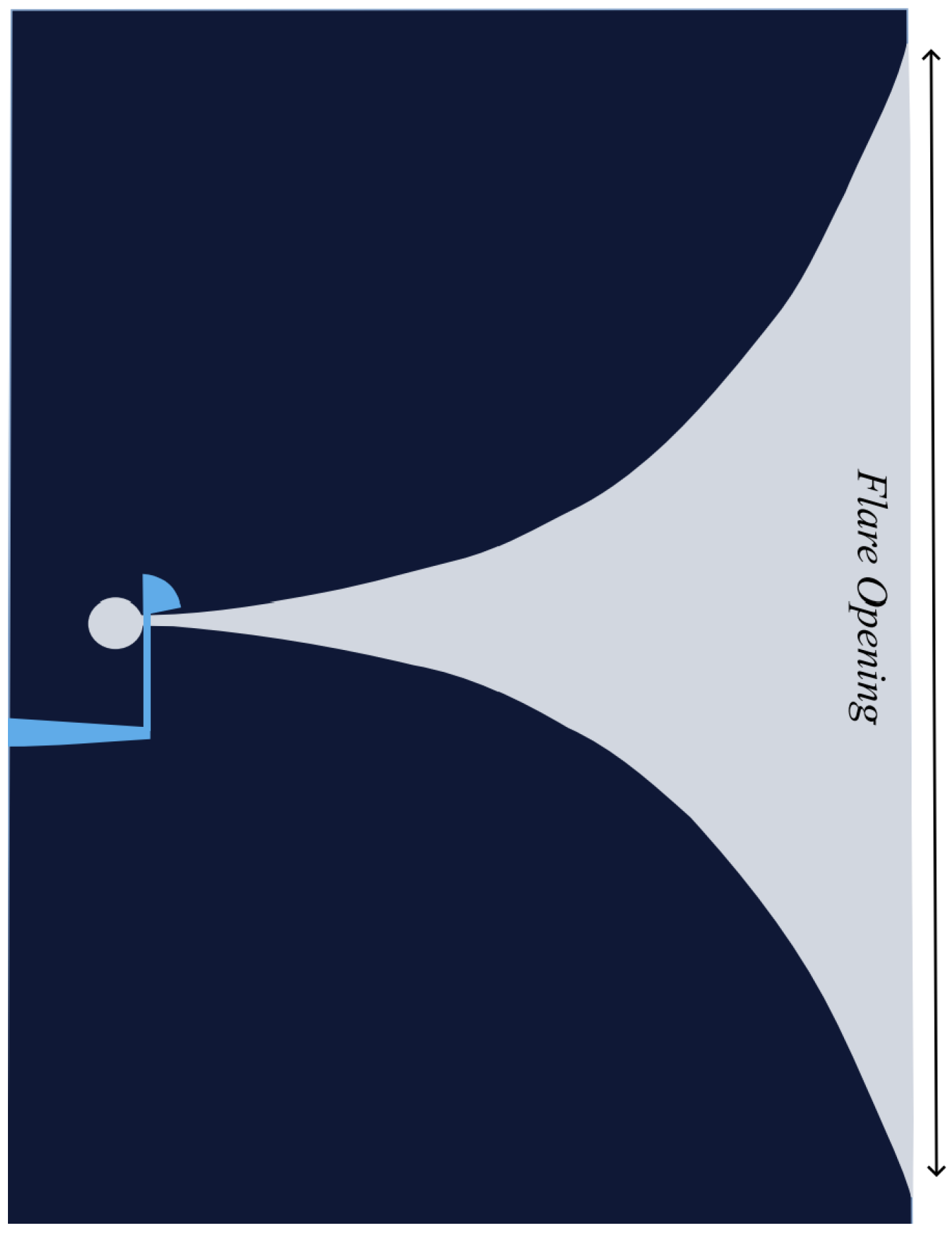 Sensors 24 06536 g002