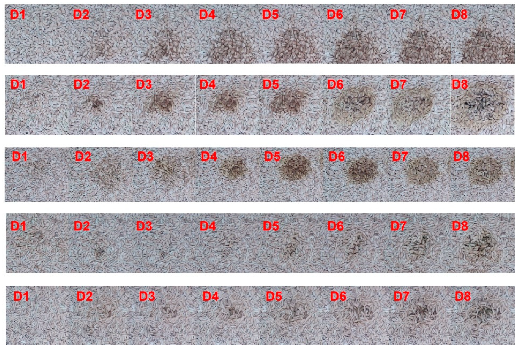 Sensors 24 06556 g004