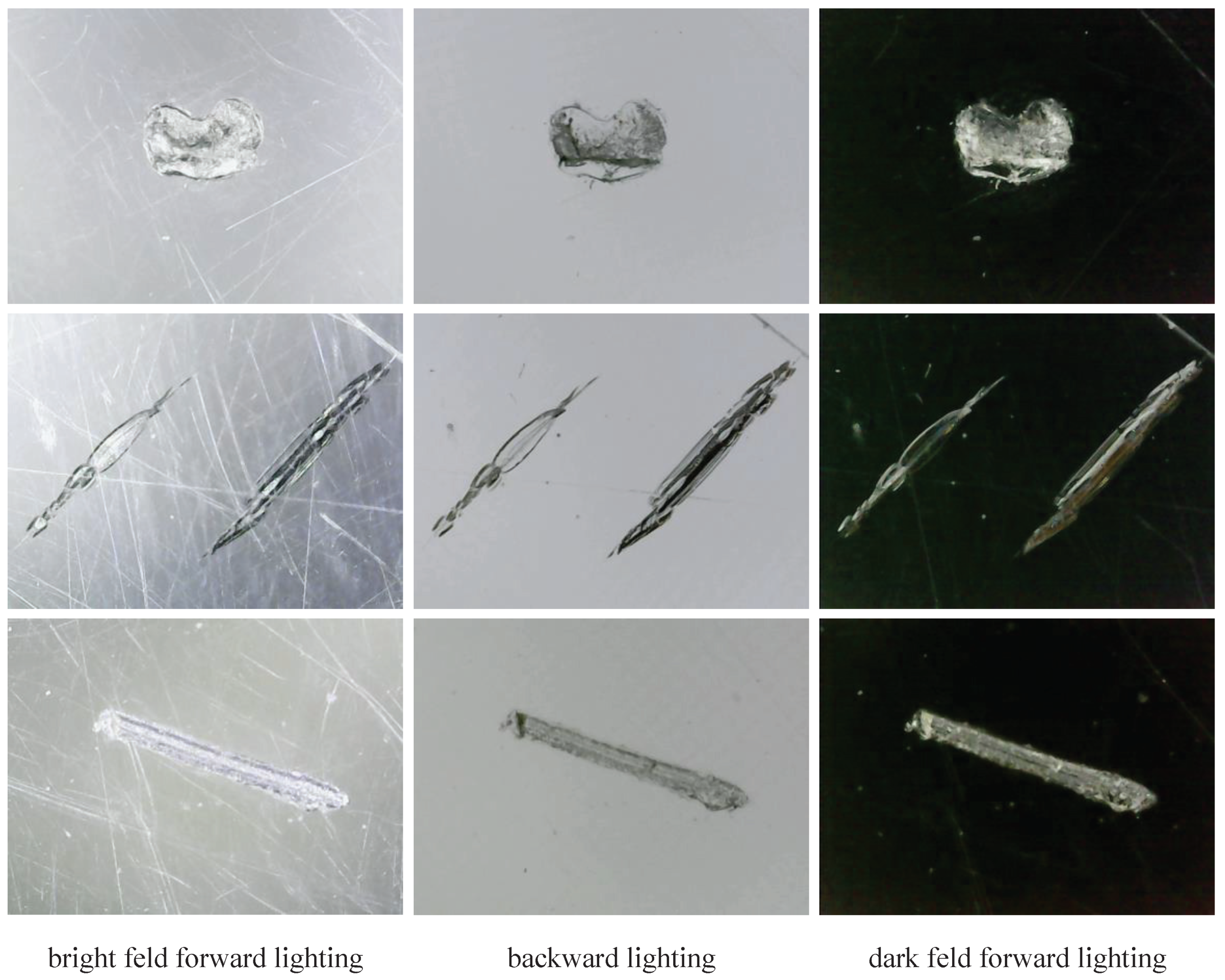 Sensors 24 06717 g002