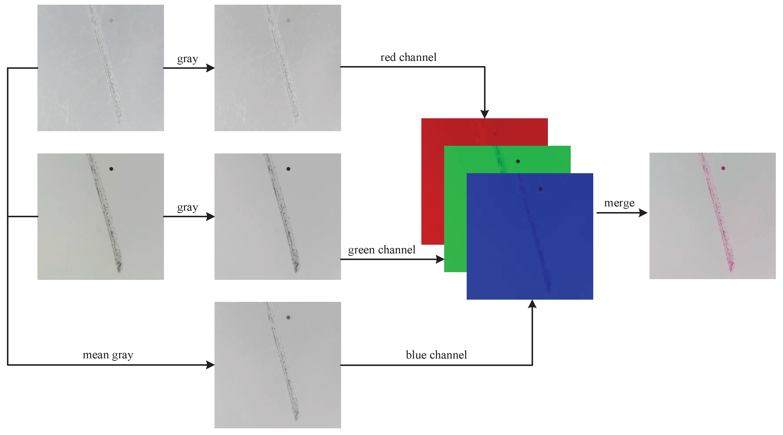 Sensors 24 06717 g007