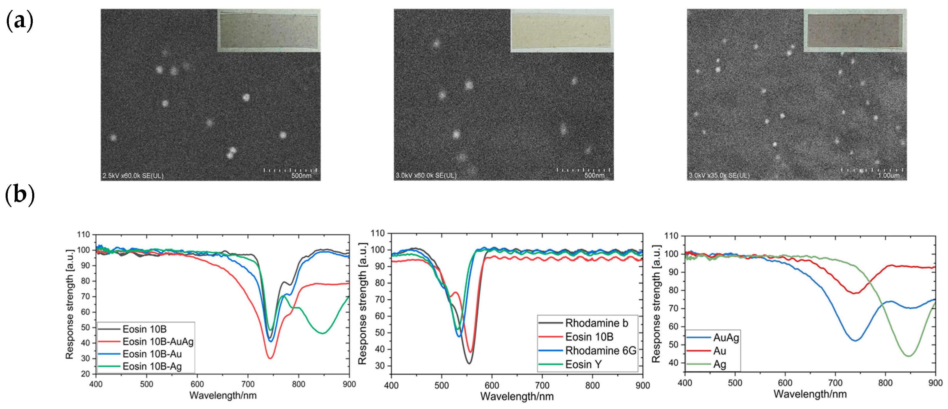 Sensors 24 06731 g003