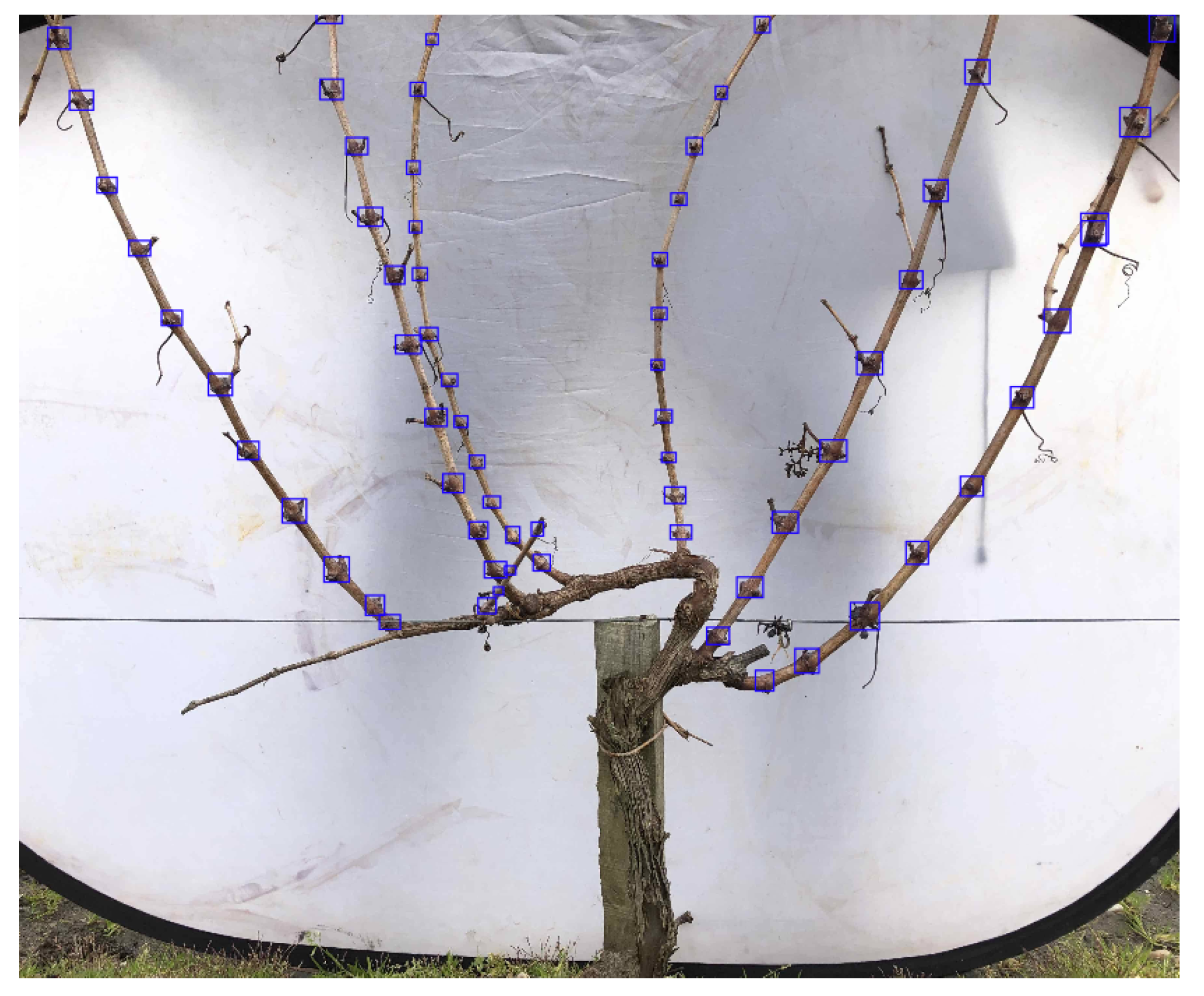 Sensors 24 06774 g001