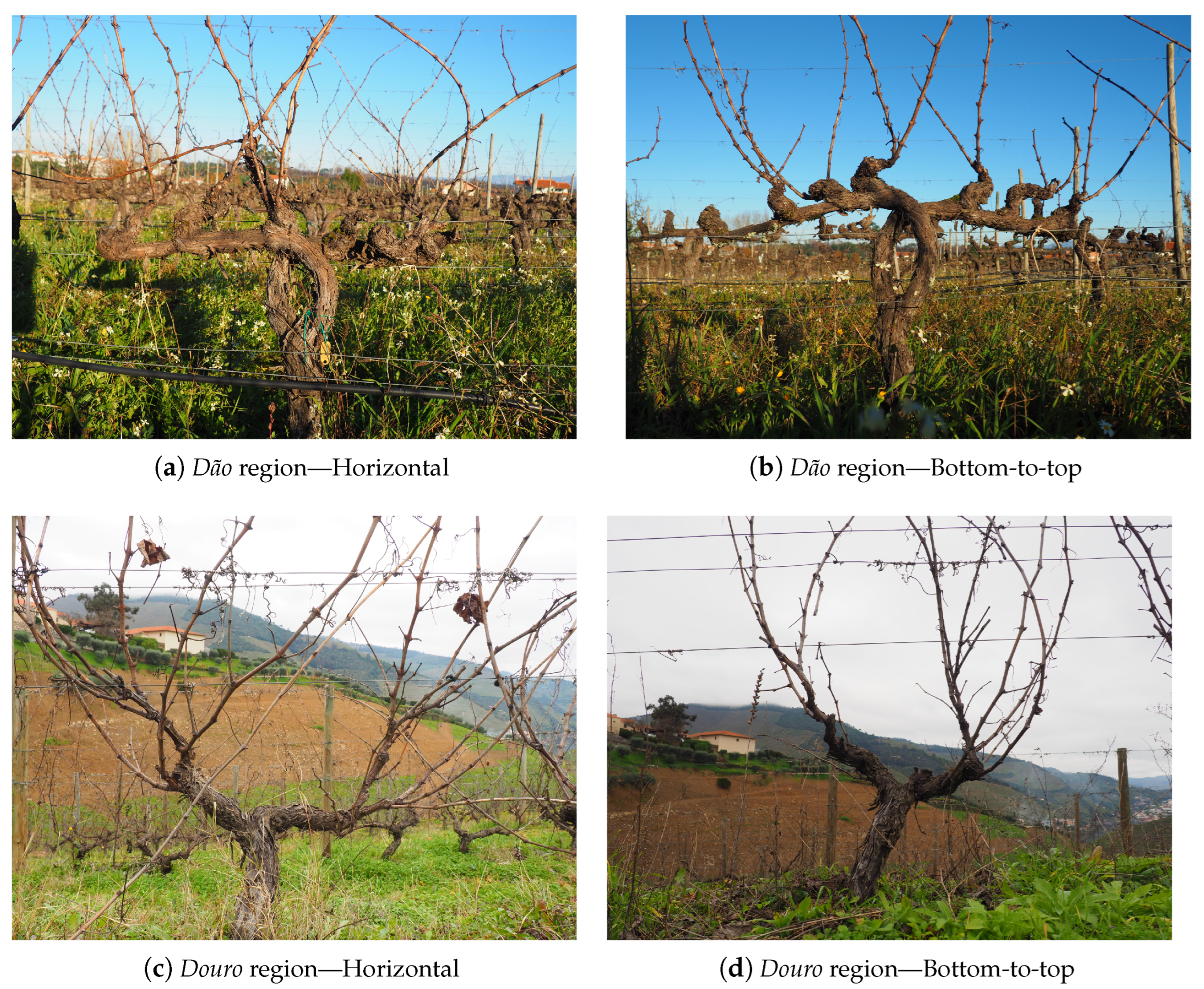 Sensors 24 06774 g002